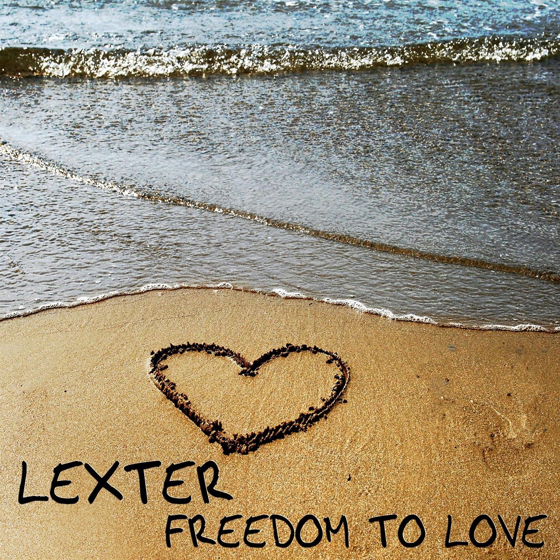 Постер альбома Freedom To Love
