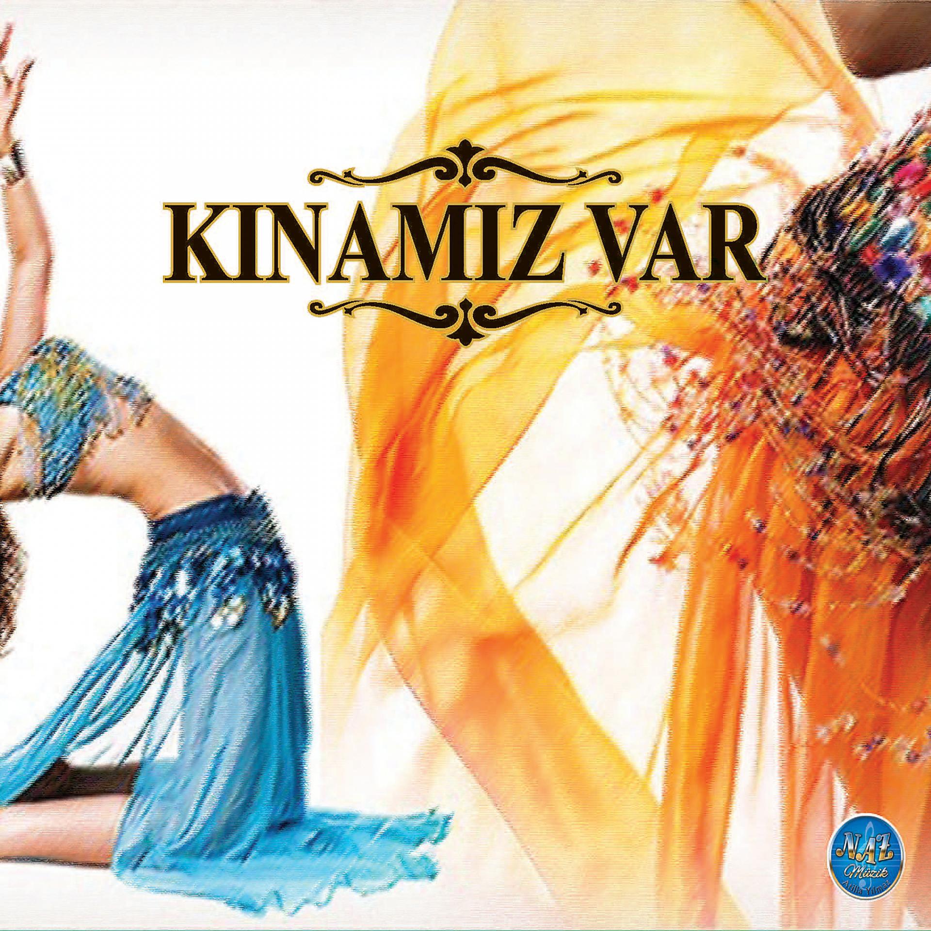 Постер альбома Kınamız Var