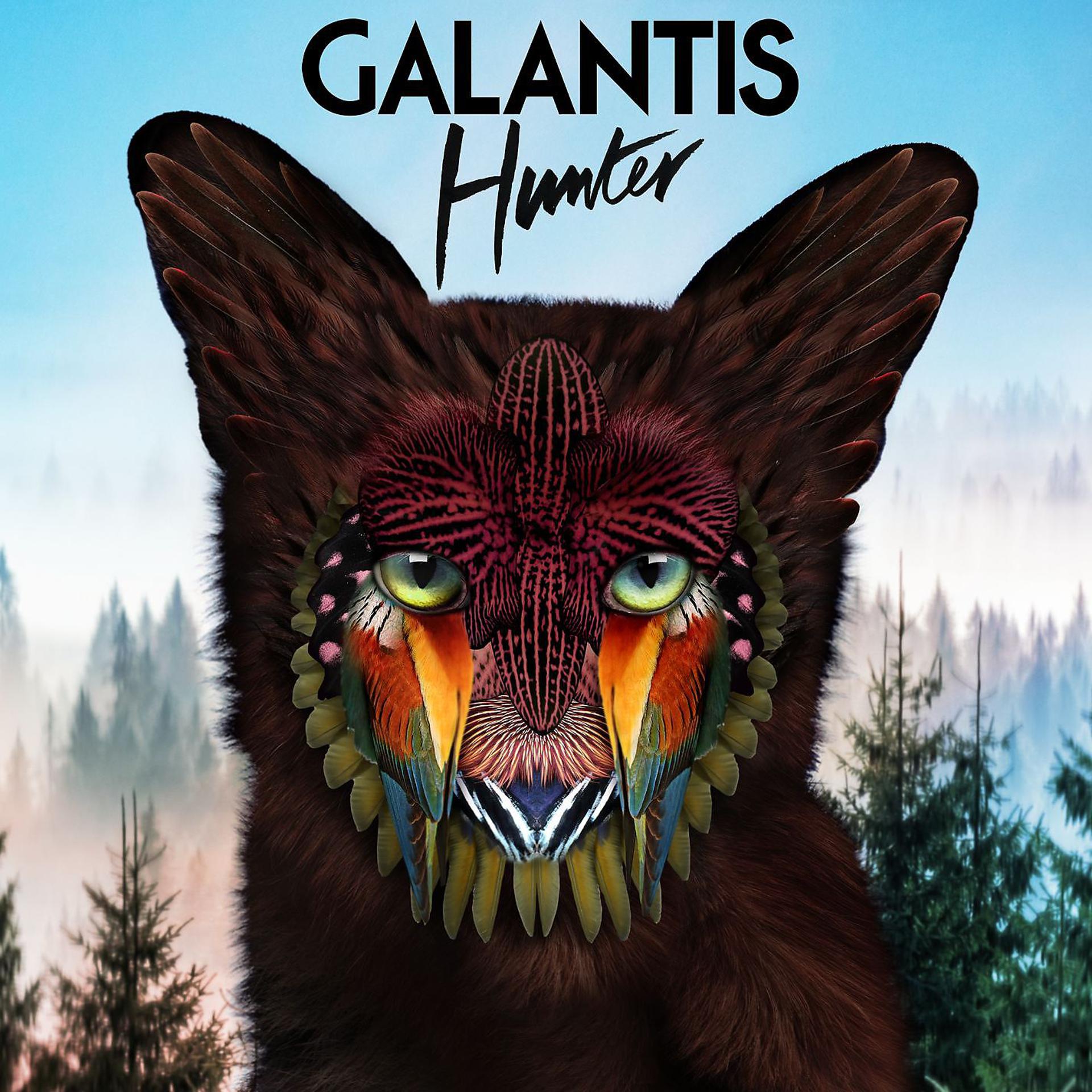 Постер альбома Hunter