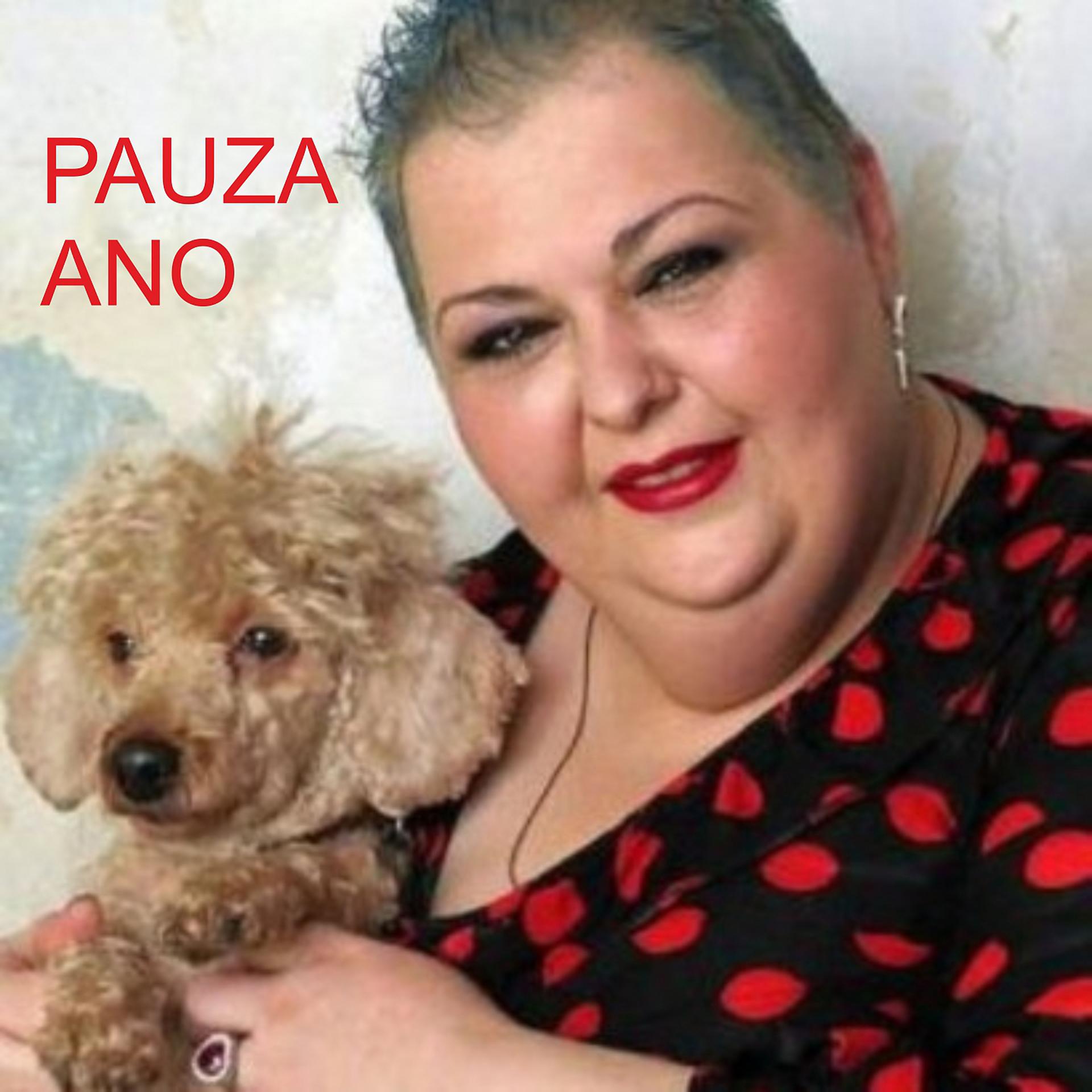 Постер альбома Pauza Ano