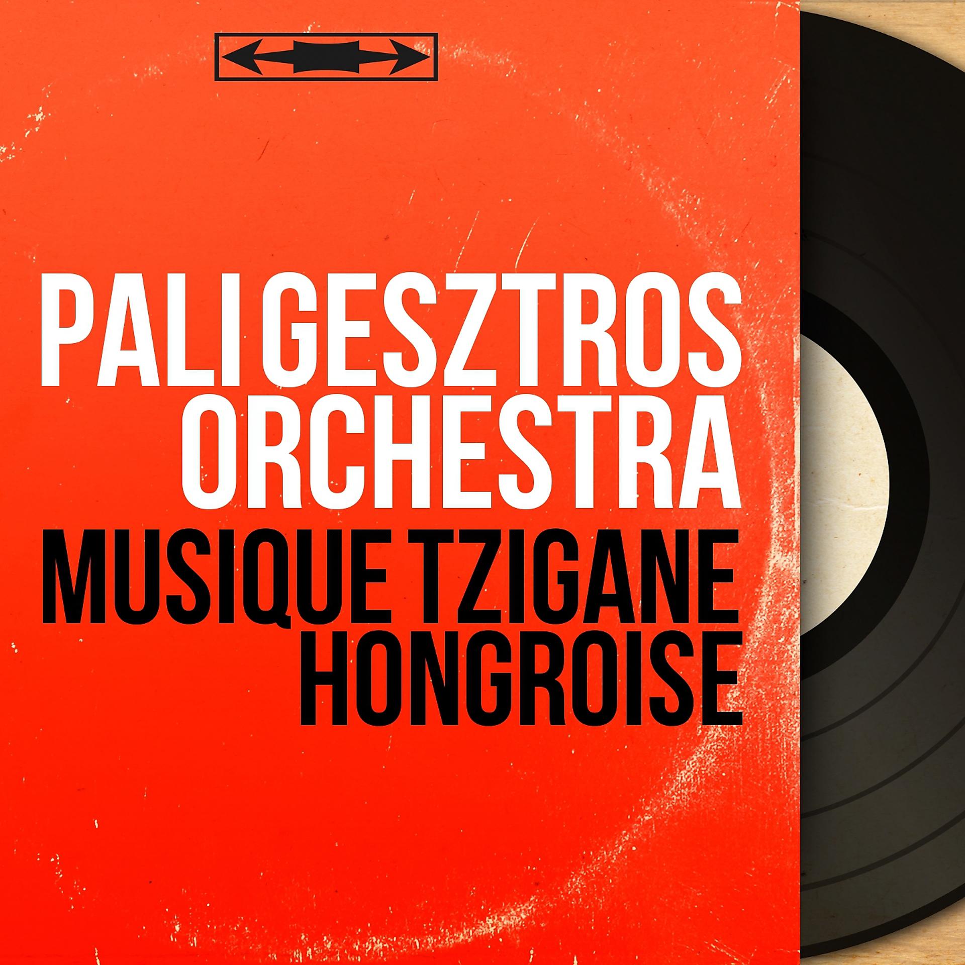 Постер альбома Musique tzigane hongroise