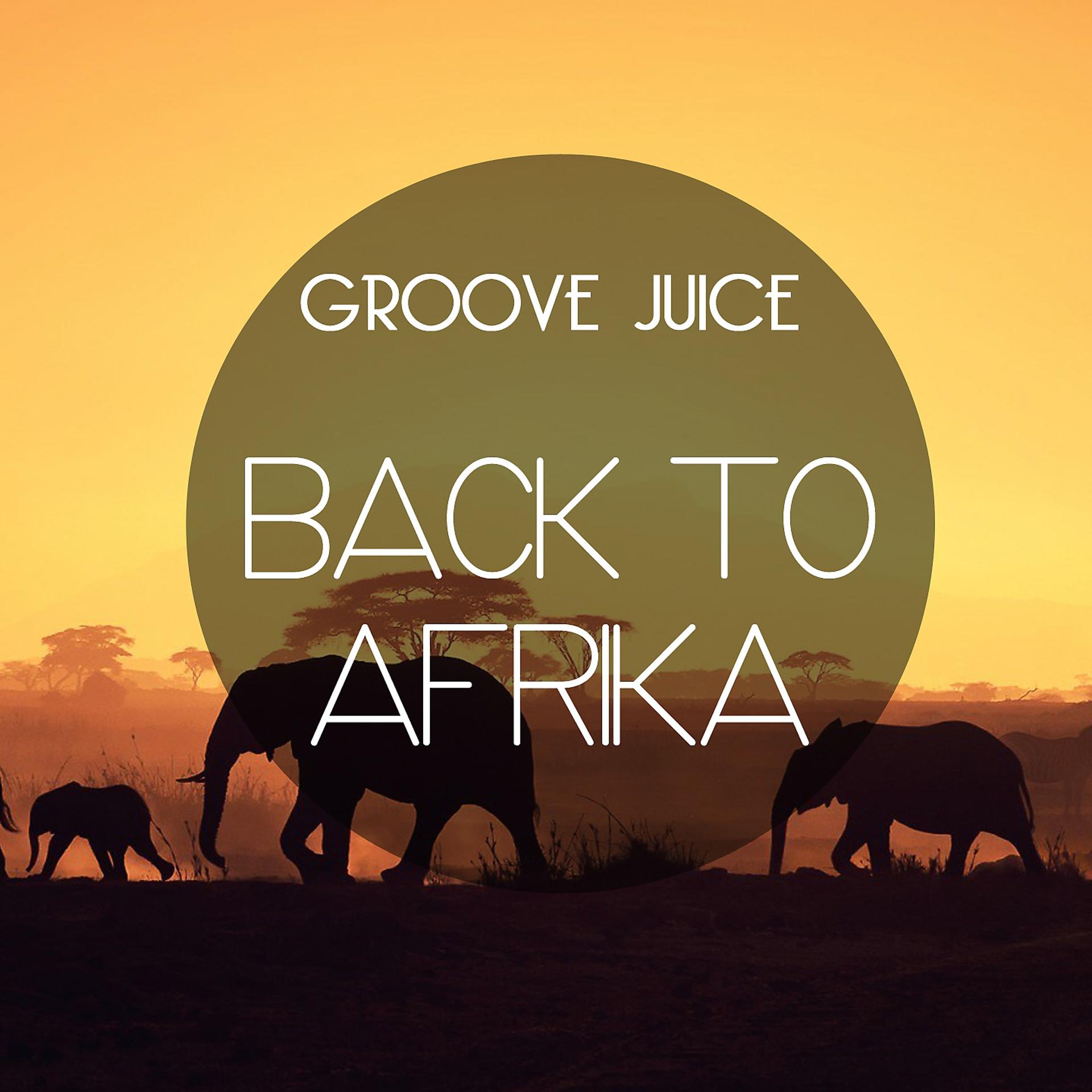 Постер альбома Back to Afrika