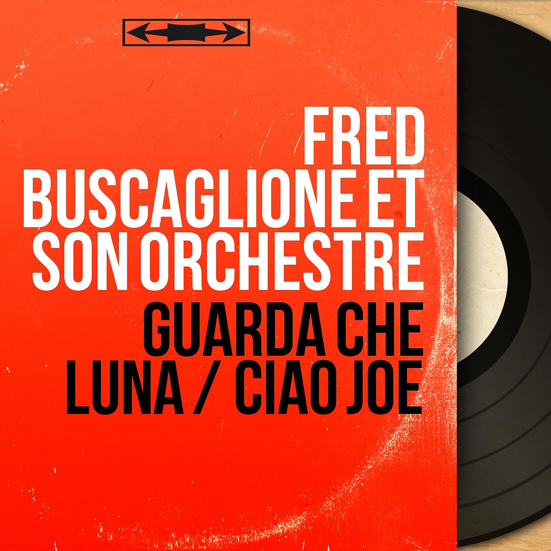 Постер альбома Guarda che luna / Ciao Joe