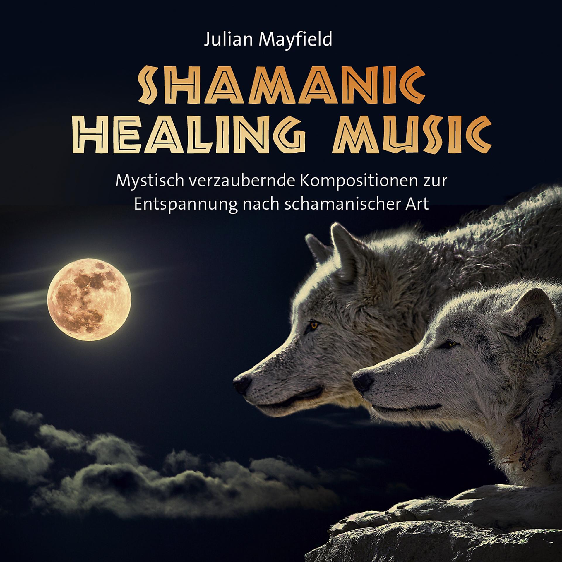 Постер альбома Shamanic Healing Music