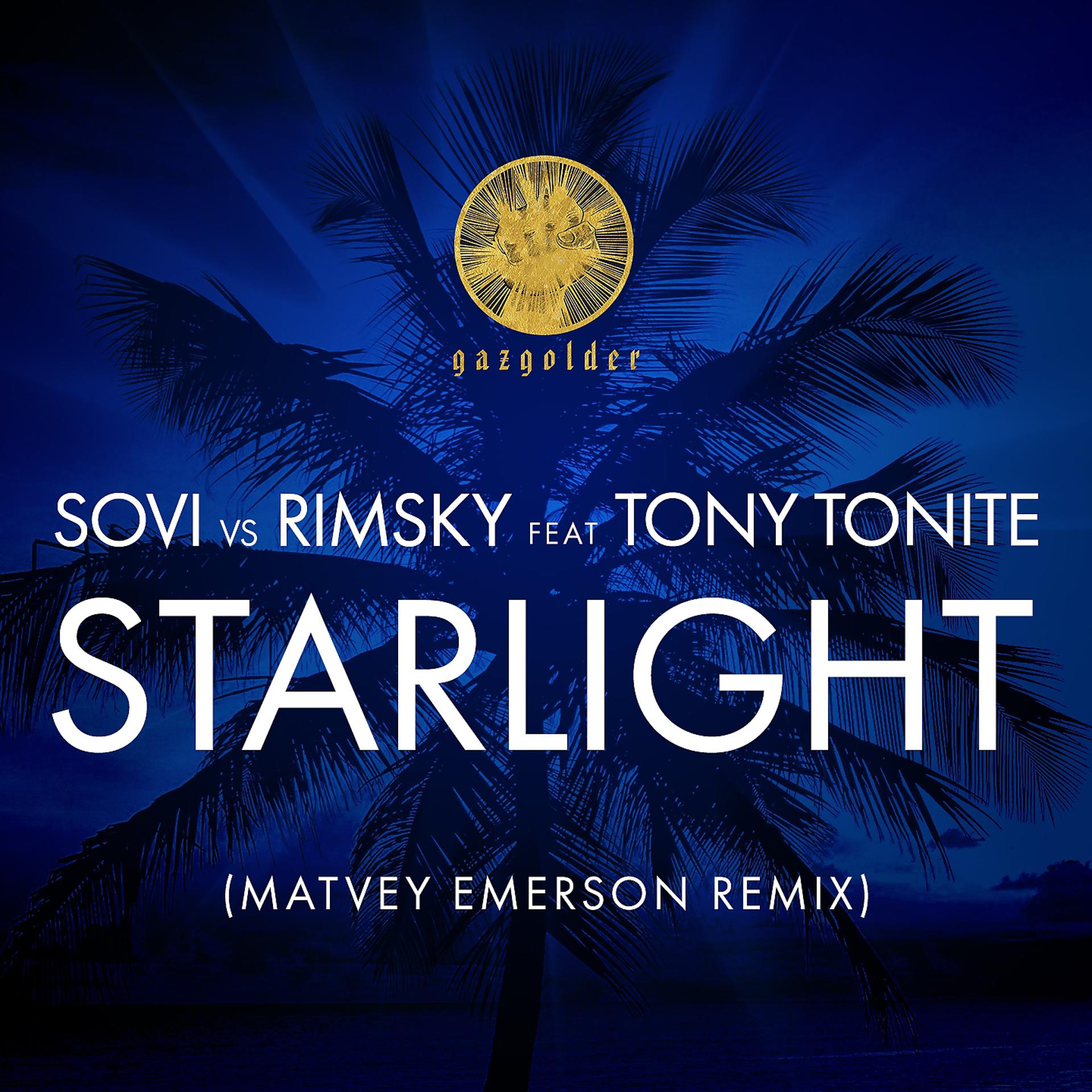 Постер альбома Starlight (Matvey Emerson Remix)