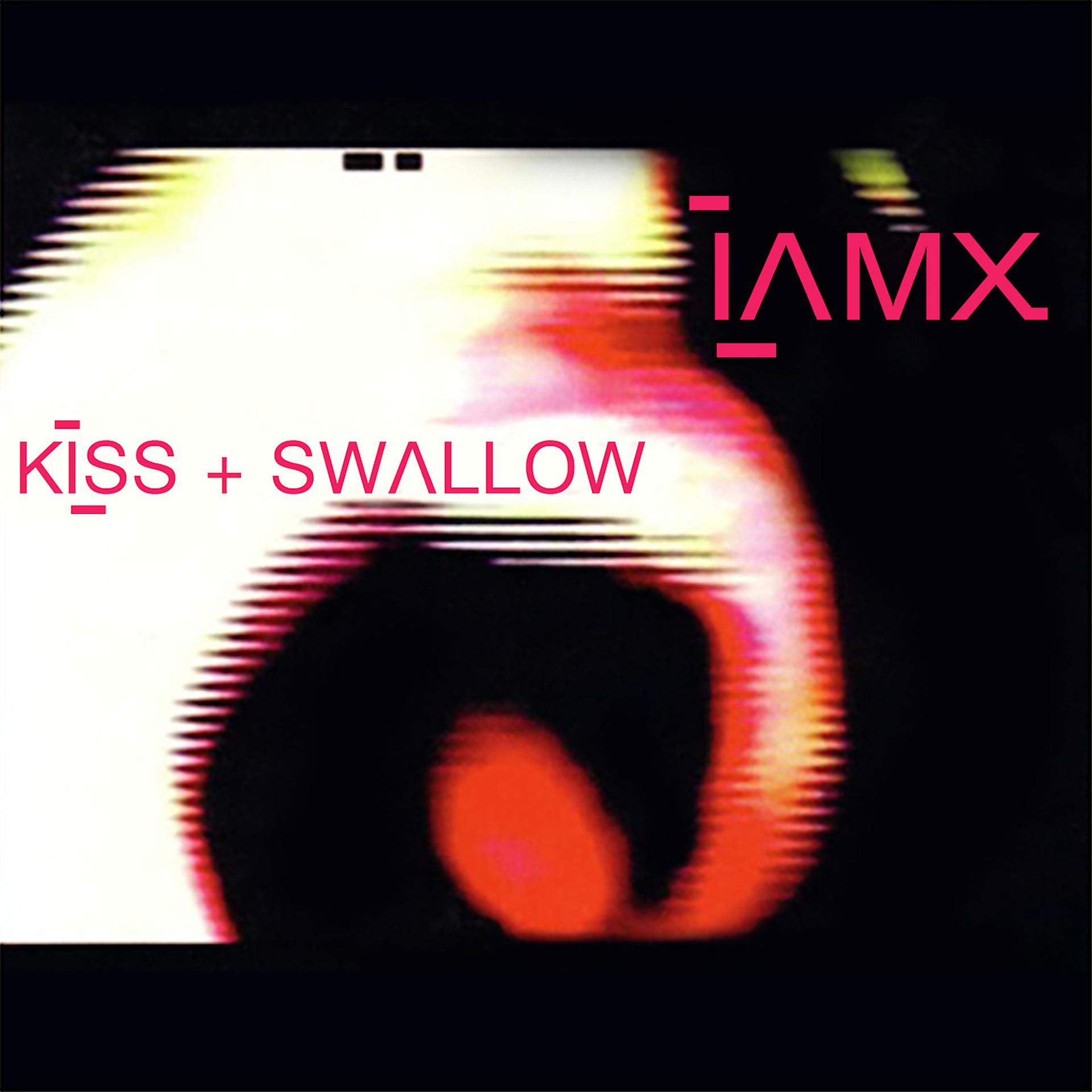 Постер альбома Kiss + Swallow