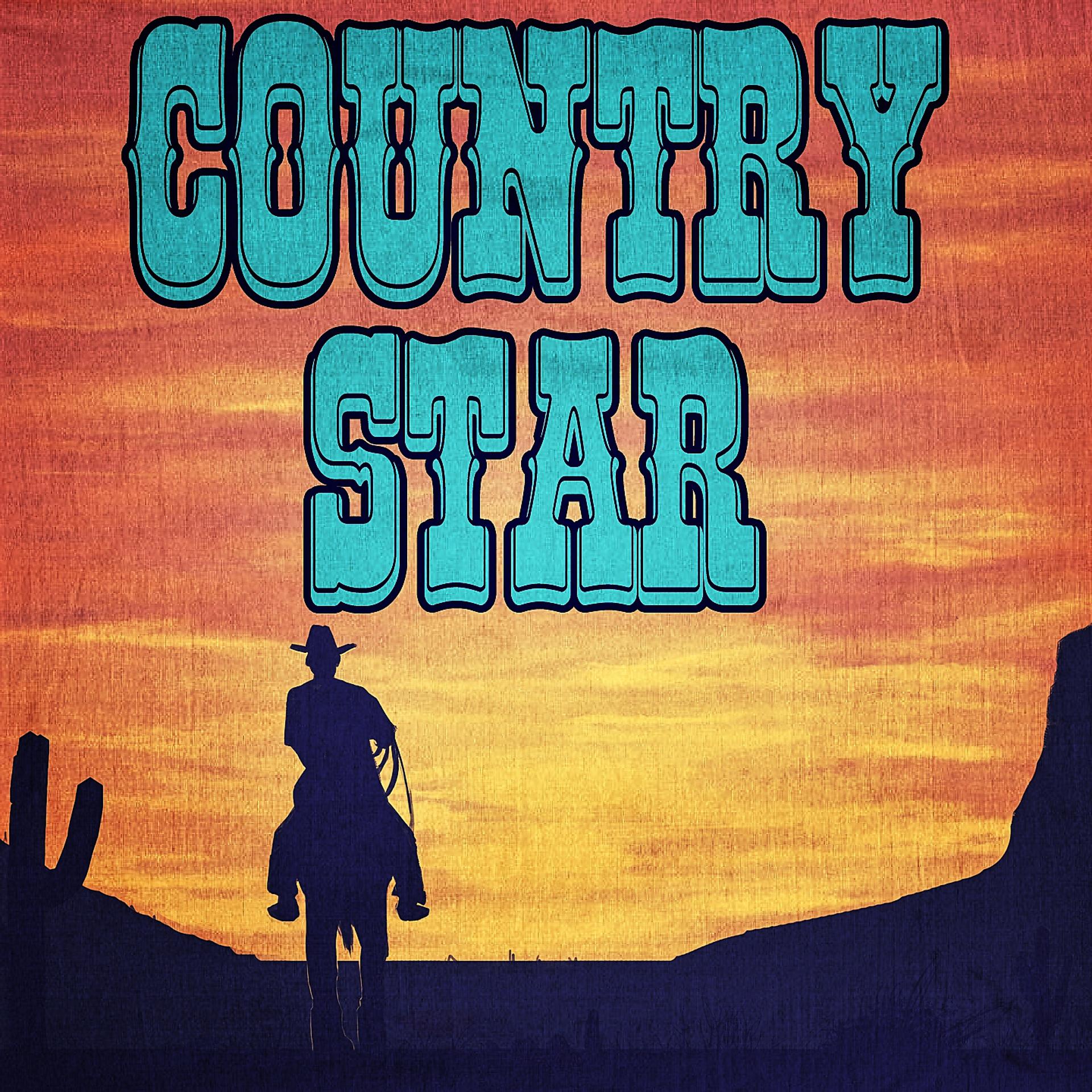 Постер альбома Country Star