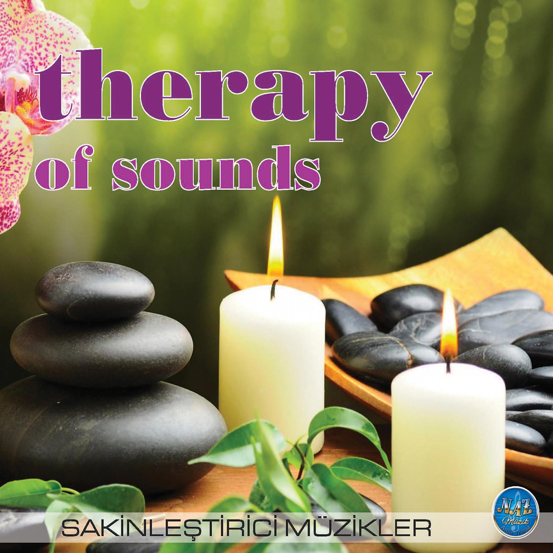 Постер альбома Therapy Of Sounds