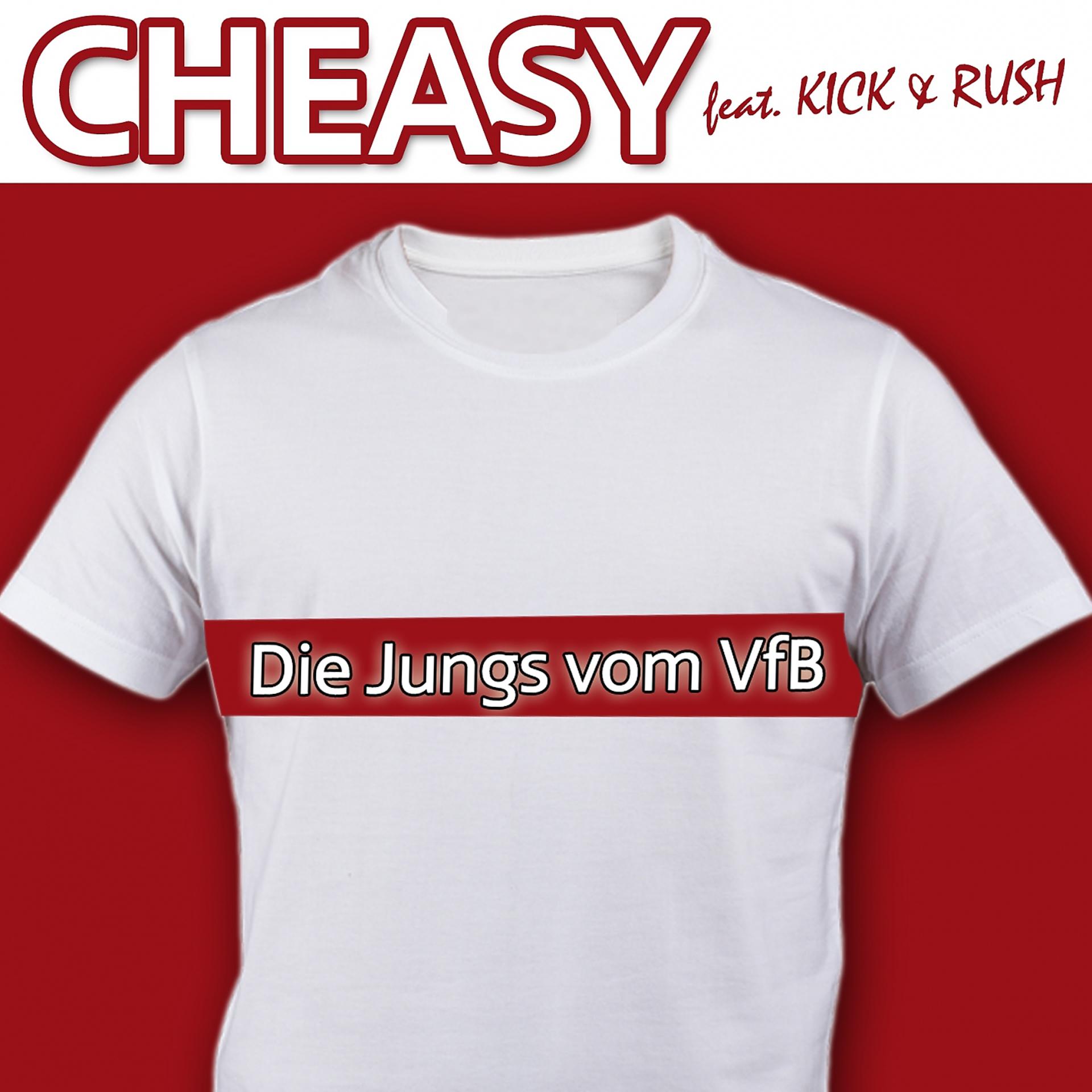 Постер альбома Die Jungs vom VfB