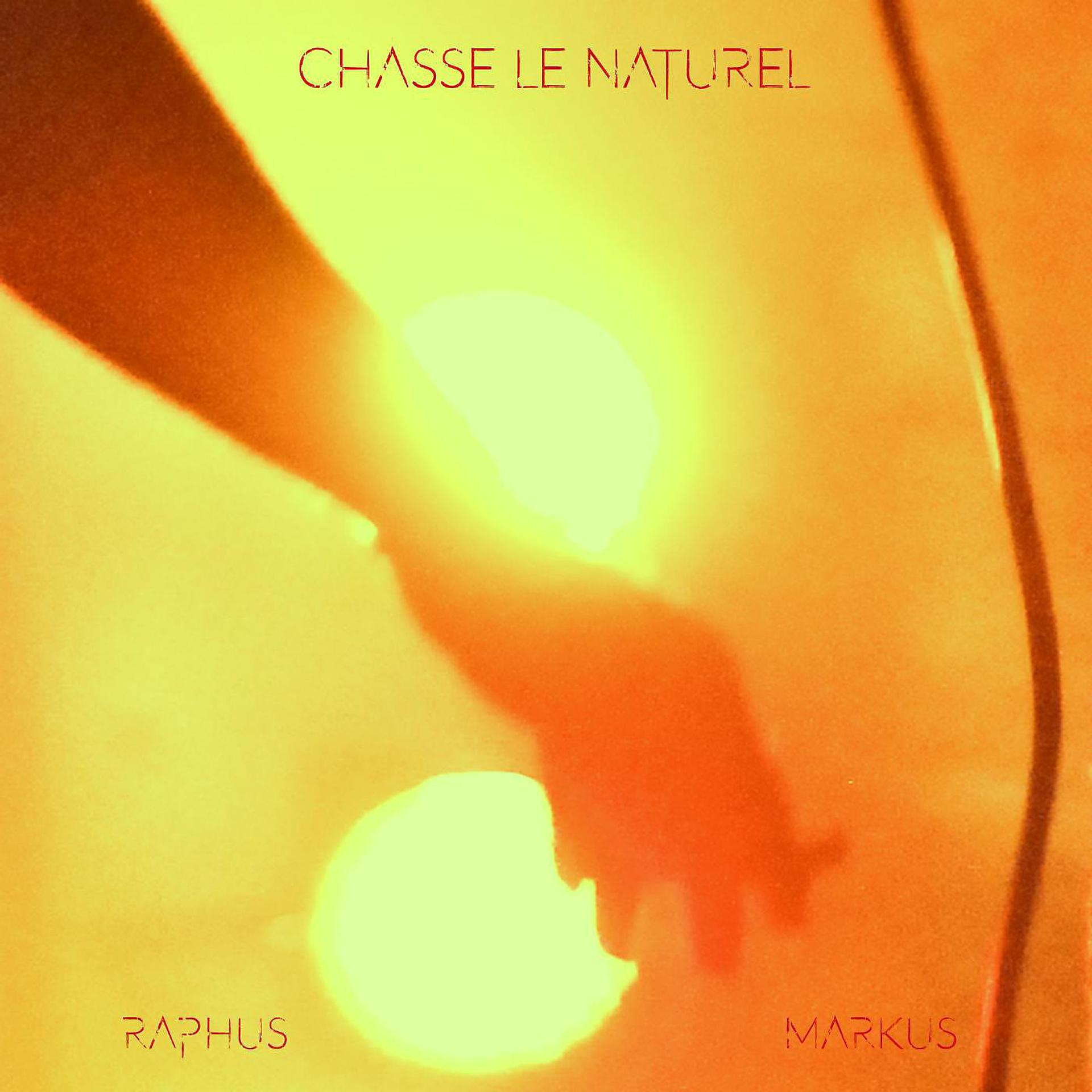 Постер альбома Chasse le naturel
