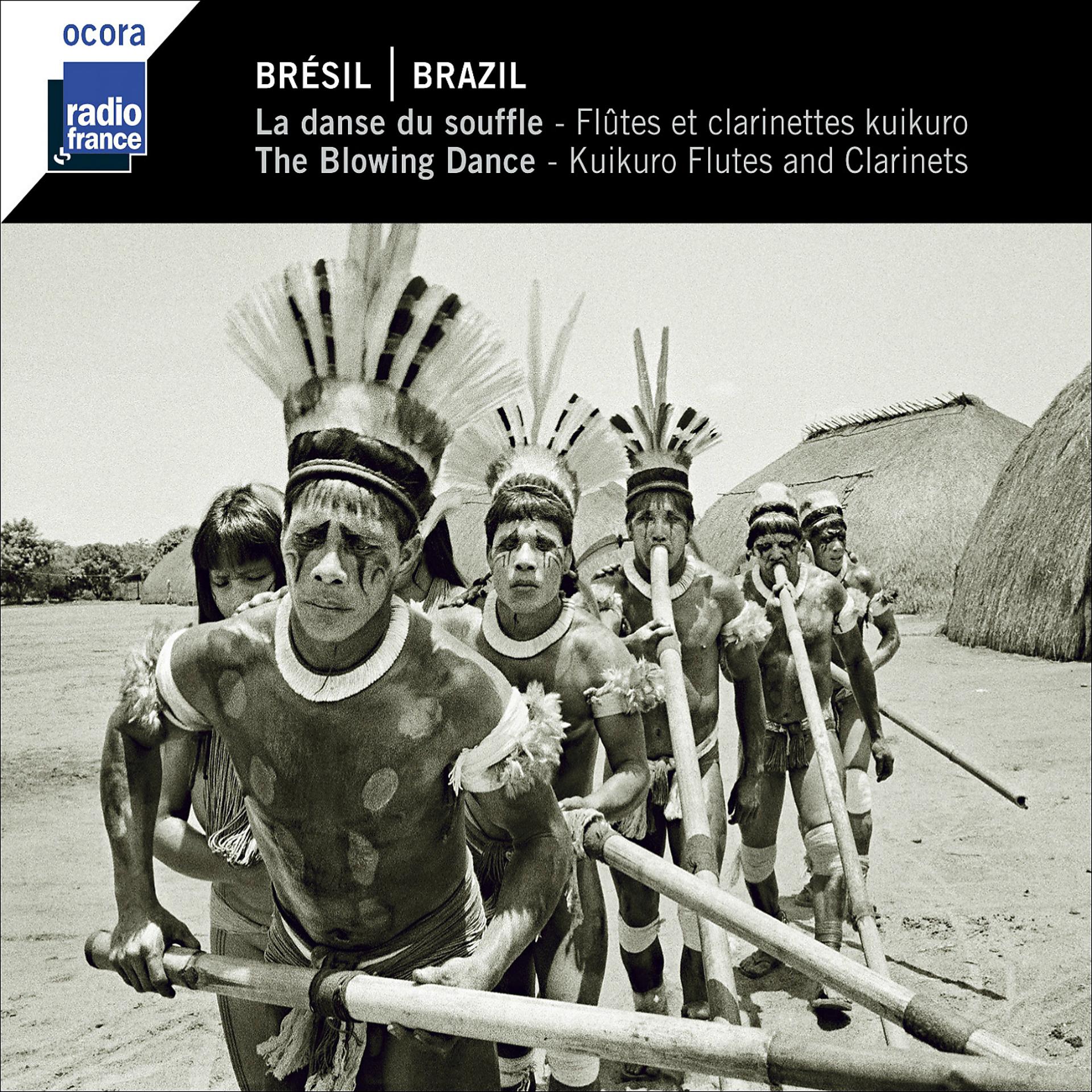 Постер альбома Brésil : La danse du souffle