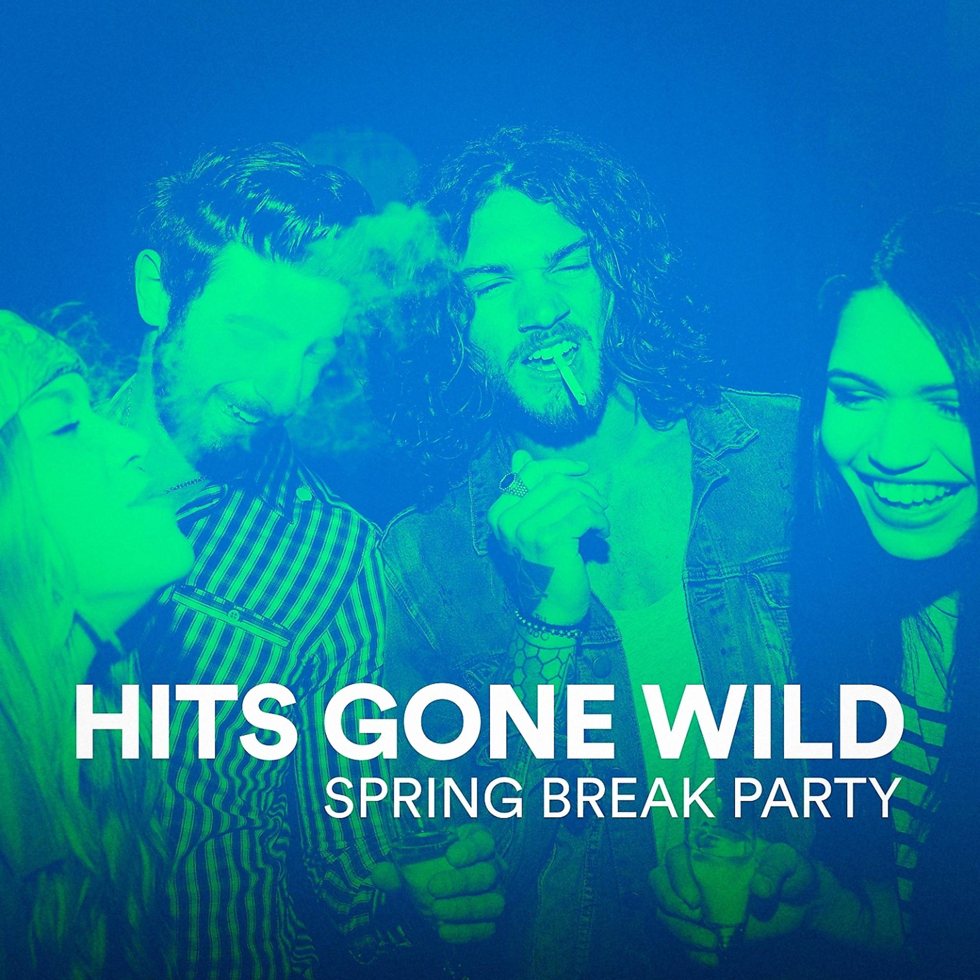 Постер альбома Hits Gone Wild (Spring Break Party)