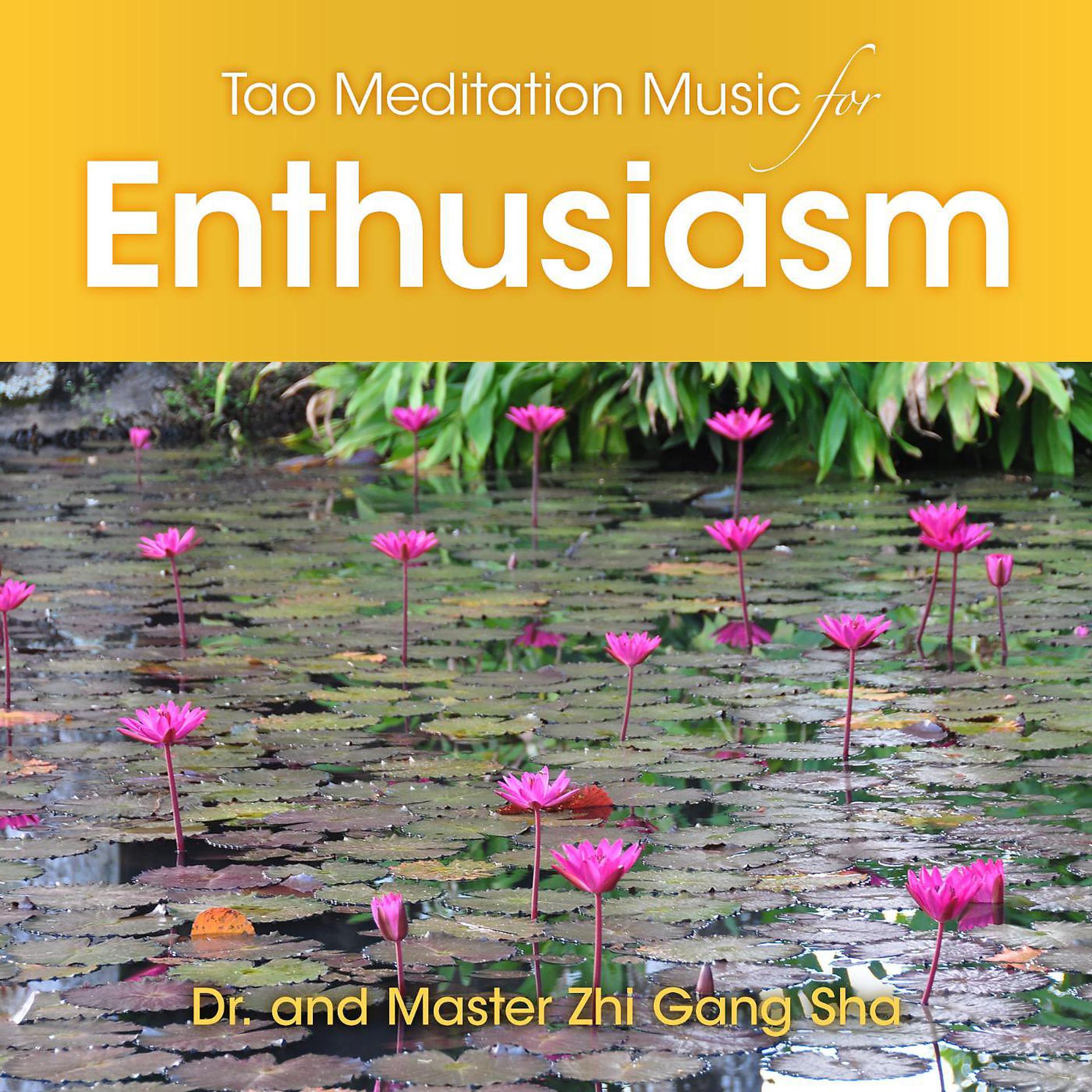 Постер альбома Tao Meditation Music for Enthusiasm