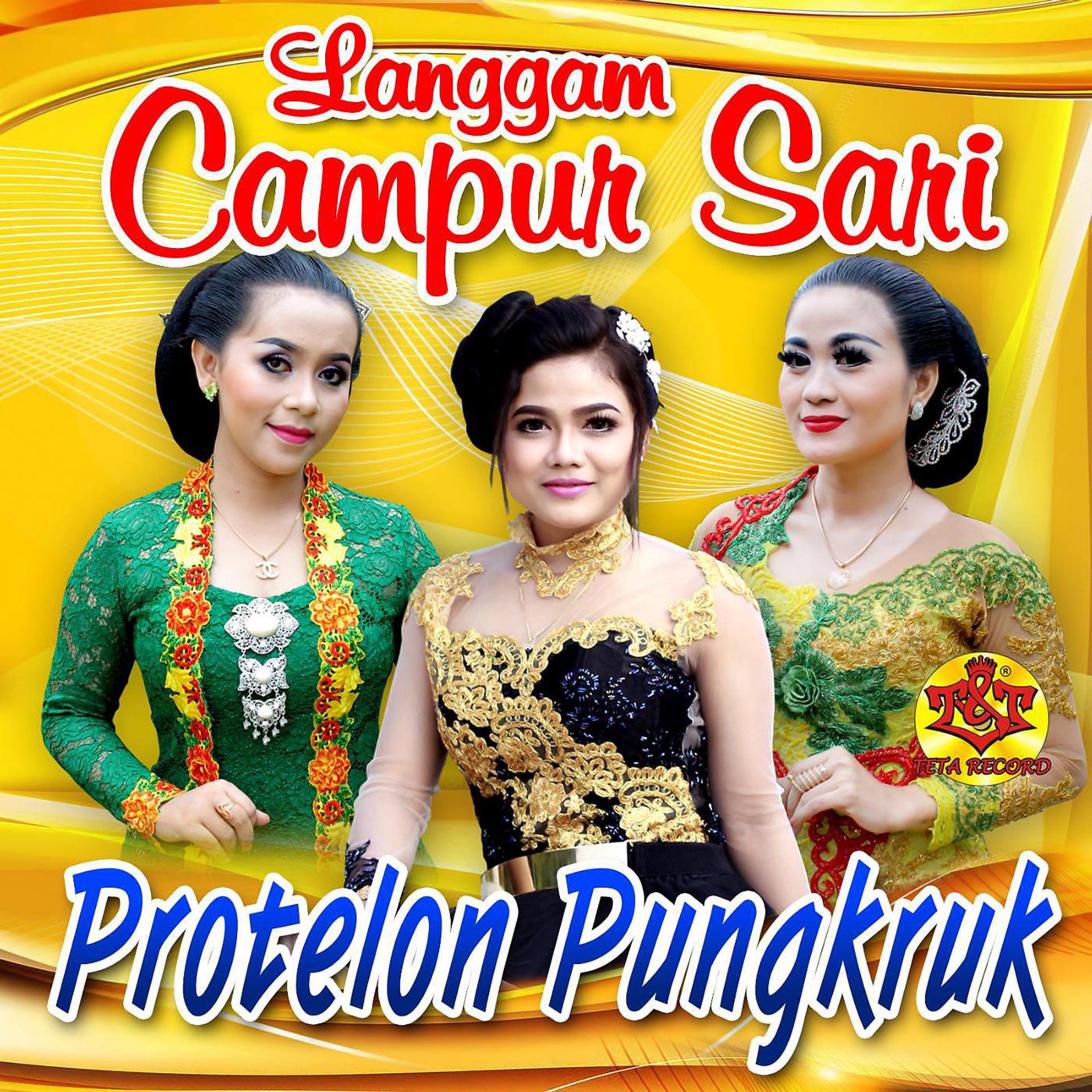 Постер альбома Protelon Pungkruk
