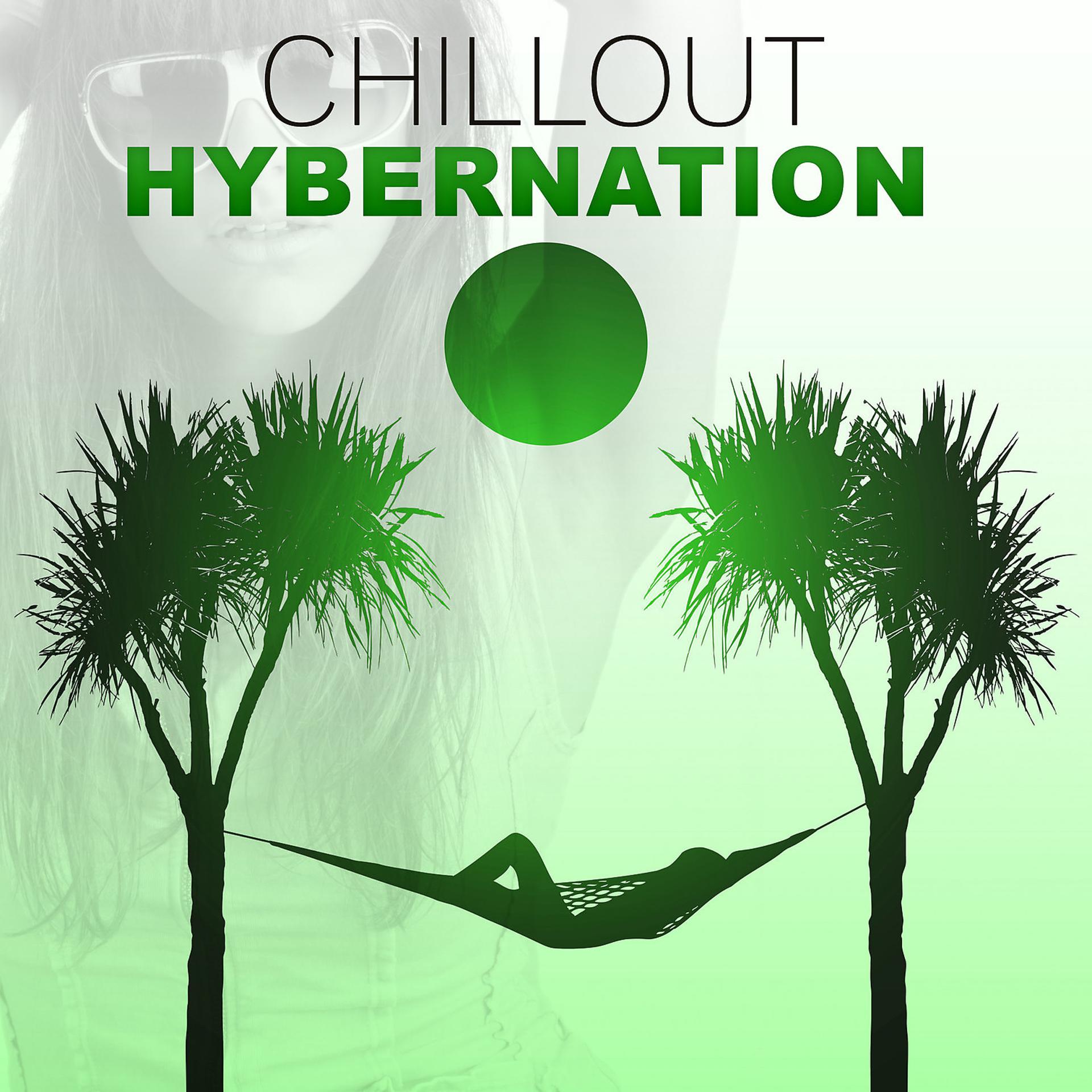 Постер альбома Chill Out Hybernation – The Positive Tunes of Chill Out, Deep Bounce, Sunset, Relax, Sensuality