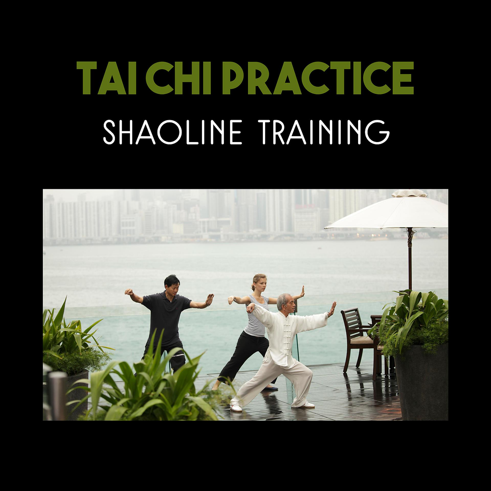 Постер альбома Tai Chi Practice – Shaoline Training, Naturopathy, Music for Inner Peace & Tranquility, Meditation and Mindfulness