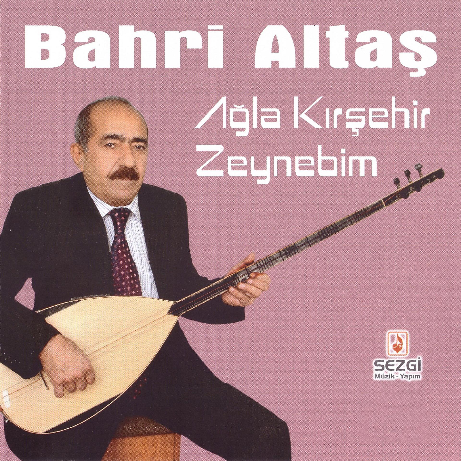 Постер альбома Ağla Kırşehir / Zeynebim
