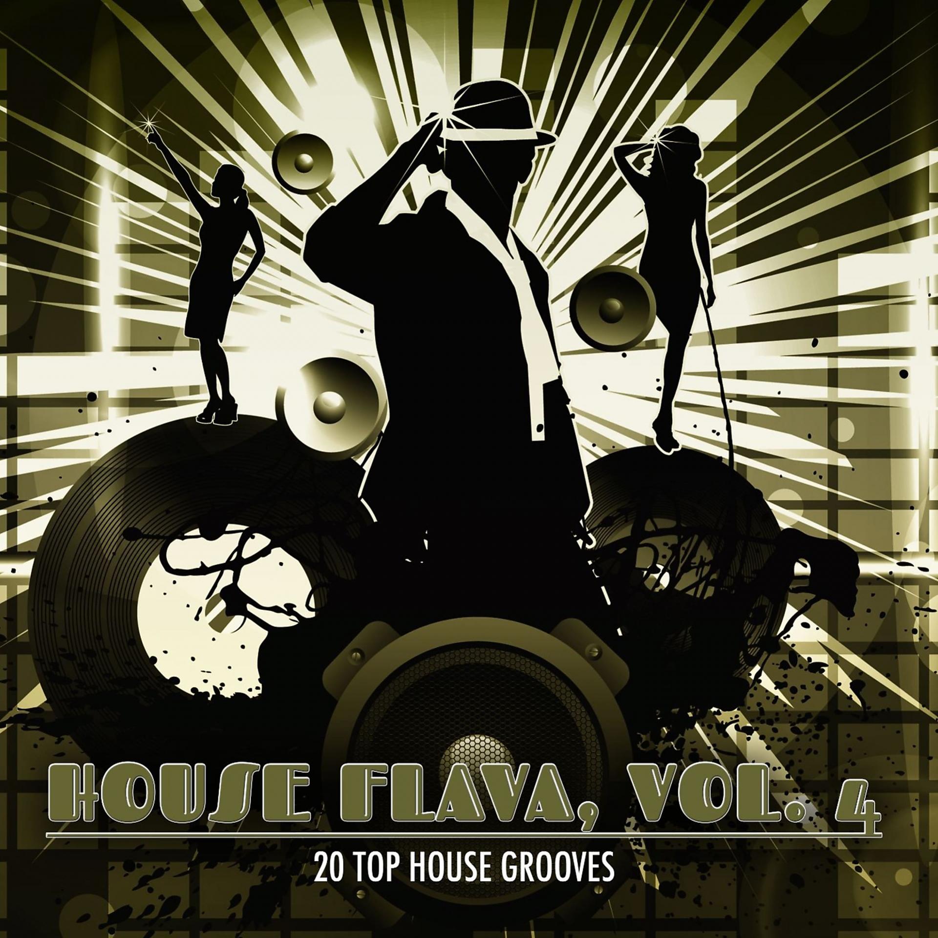 Постер альбома House Flava, Vol. 4