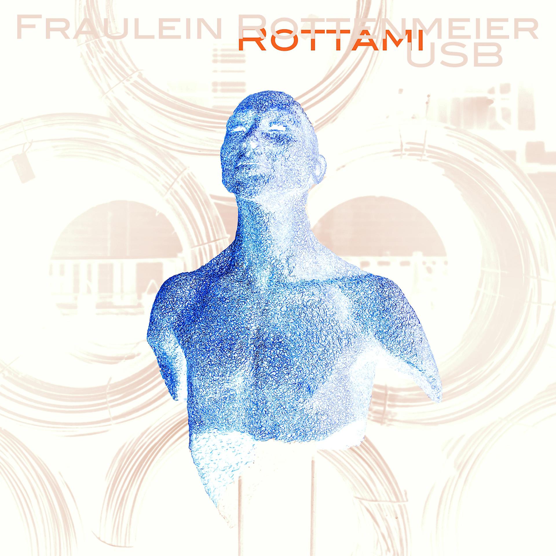 Постер альбома Rottami