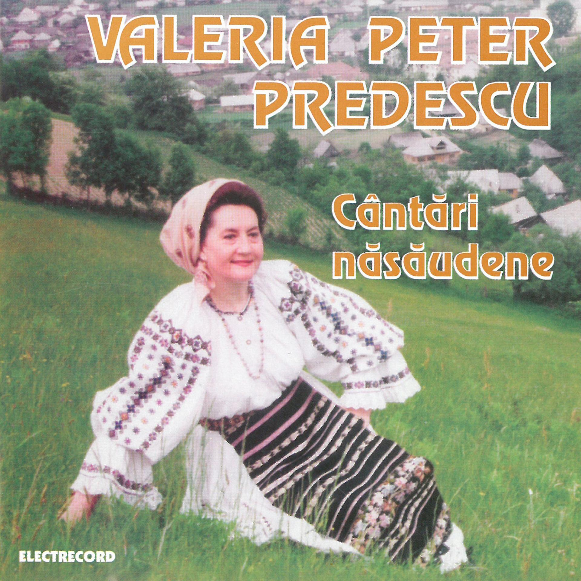 Постер альбома Cântări Năsăudene