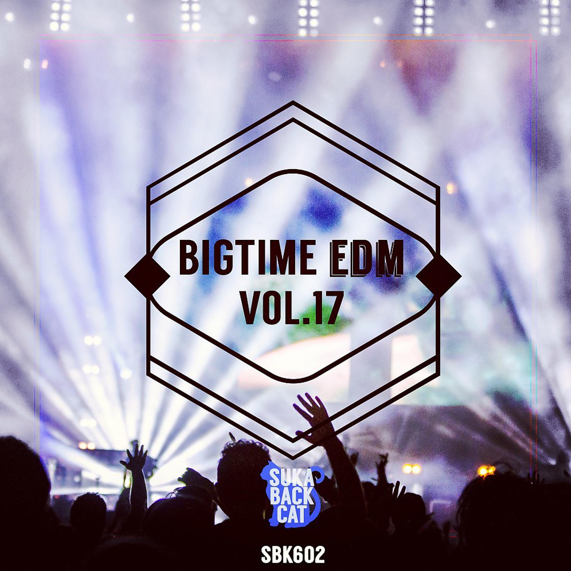 Постер альбома Bigtime EDM, Vol. 17