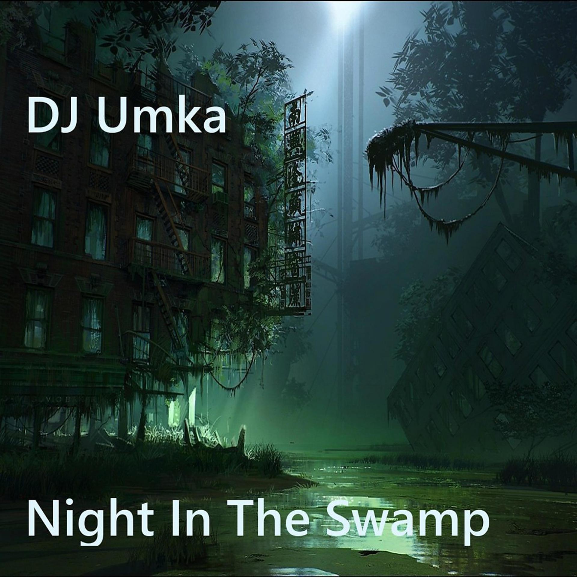Постер альбома Night in the Swamp