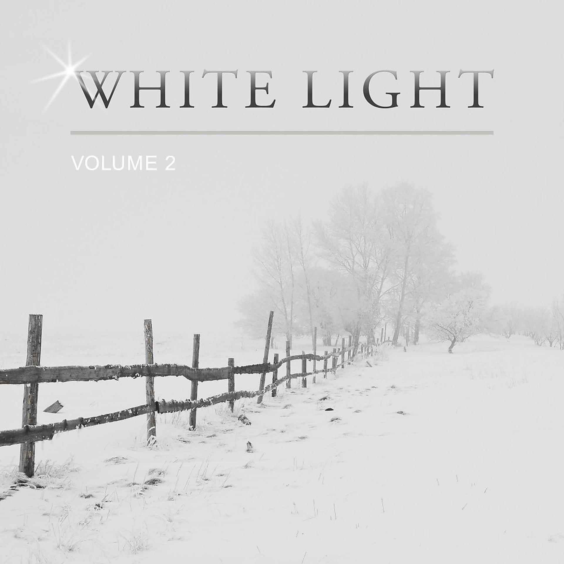 Постер альбома White Light, Vol. 2
