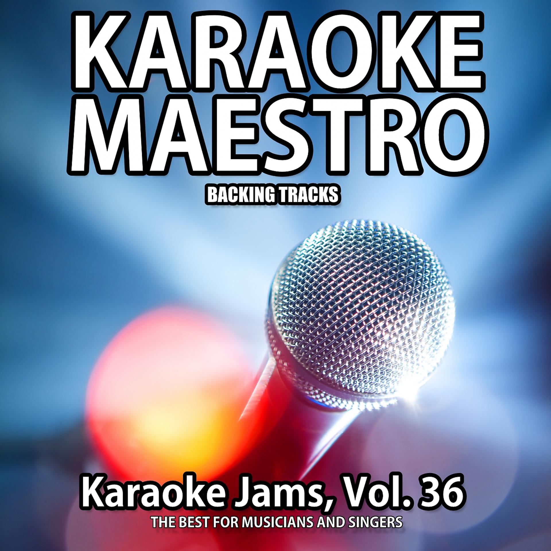 Постер альбома Karaoke Jams, Vol. 36