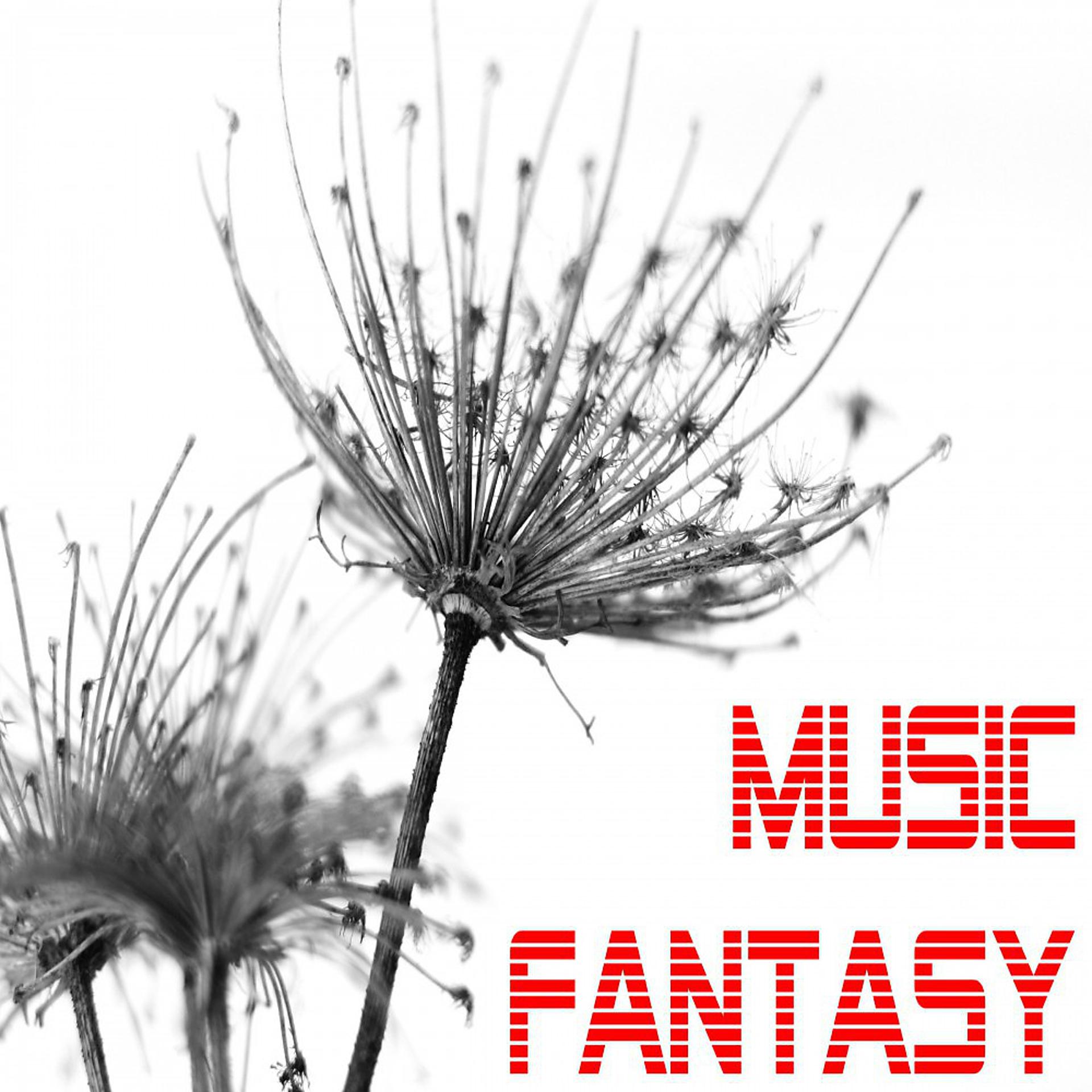 Постер альбома Music Fantasy