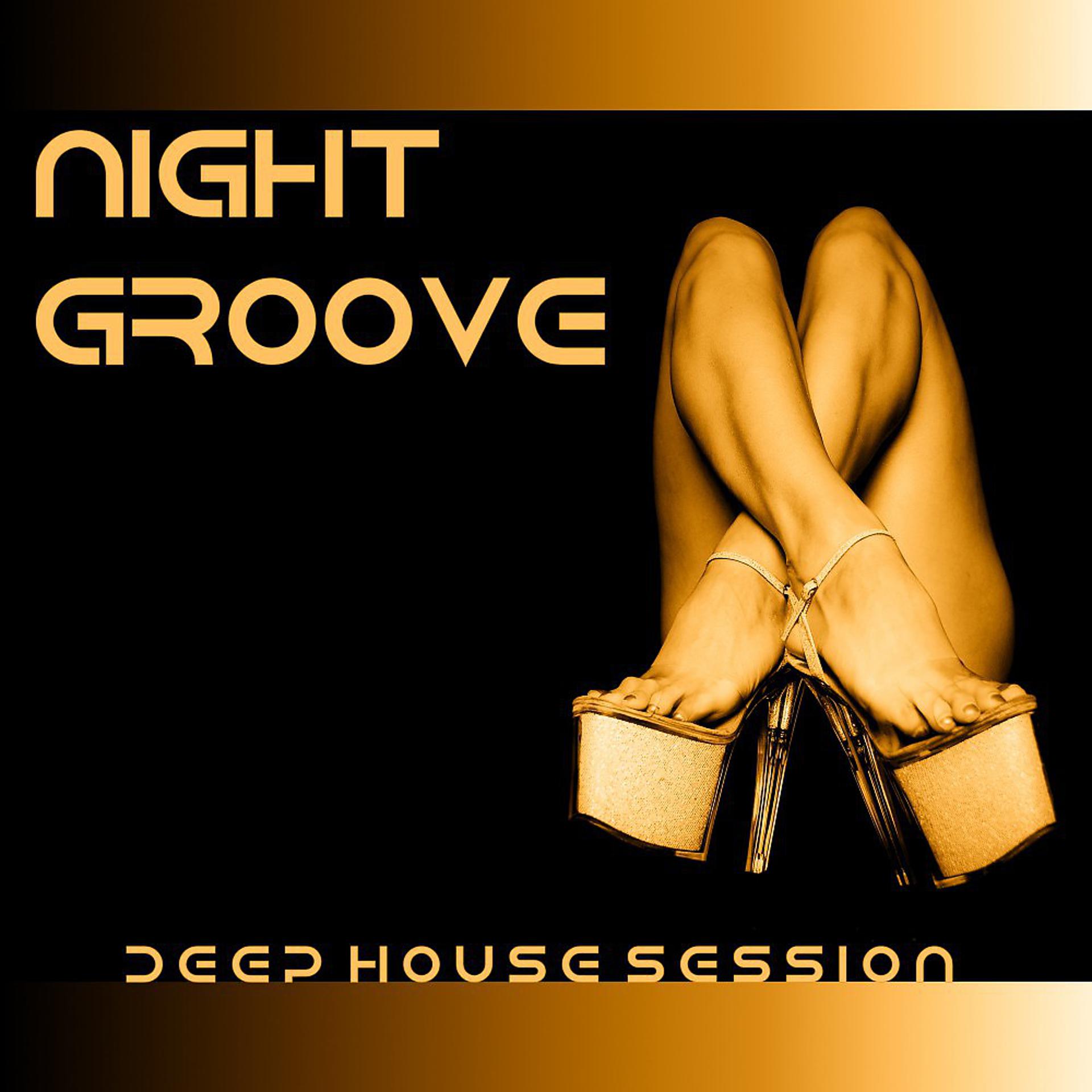 Постер альбома Night Groove (Deep House Session)