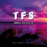 Постер альбома Journey into Deep EP (The Tosch Remixes)