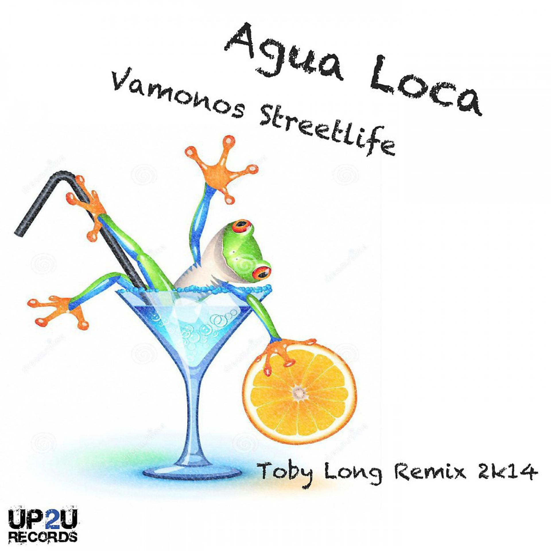Постер альбома Vamonos Streetlife (Toby Long 2K14 Remix)