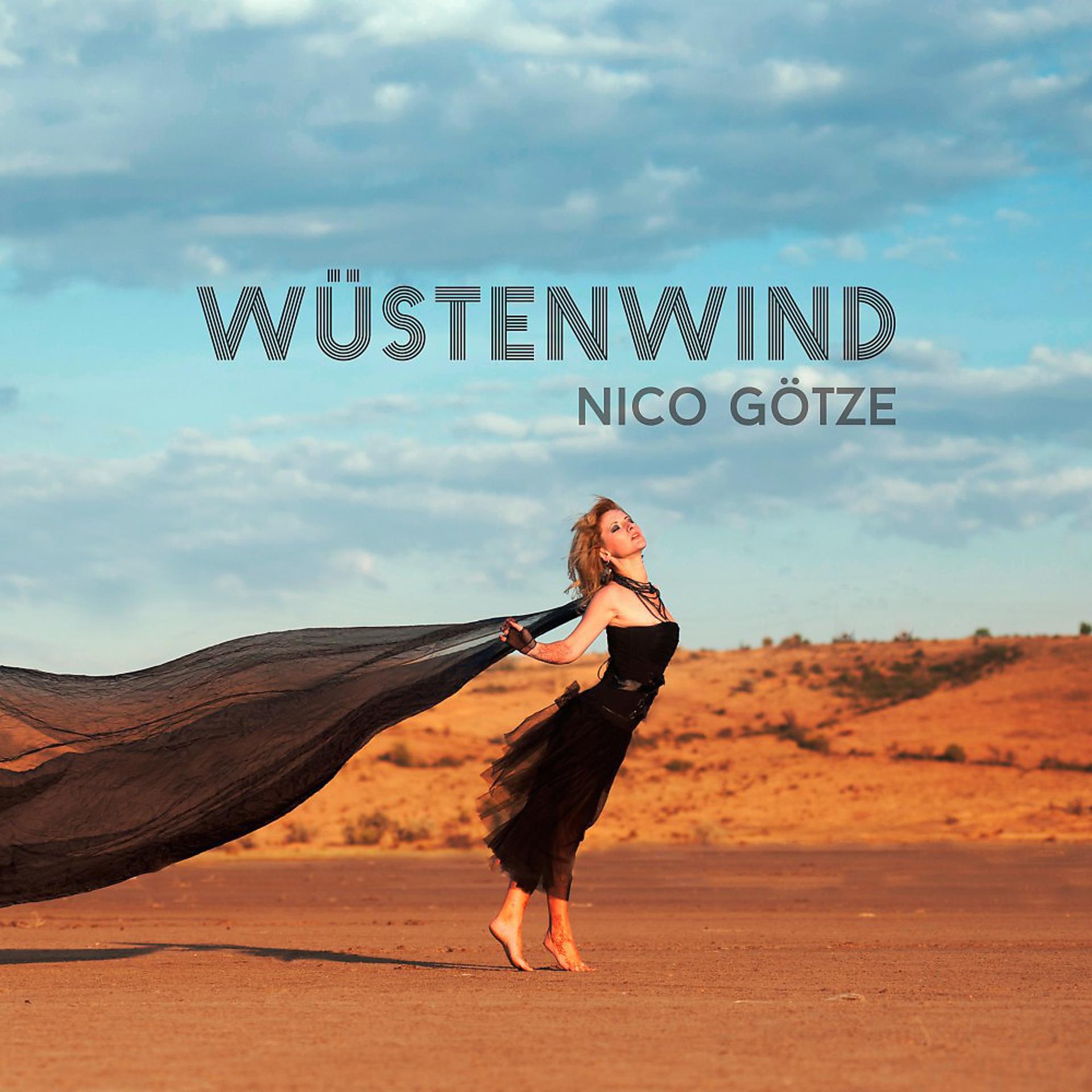 Постер альбома Wüstenwind