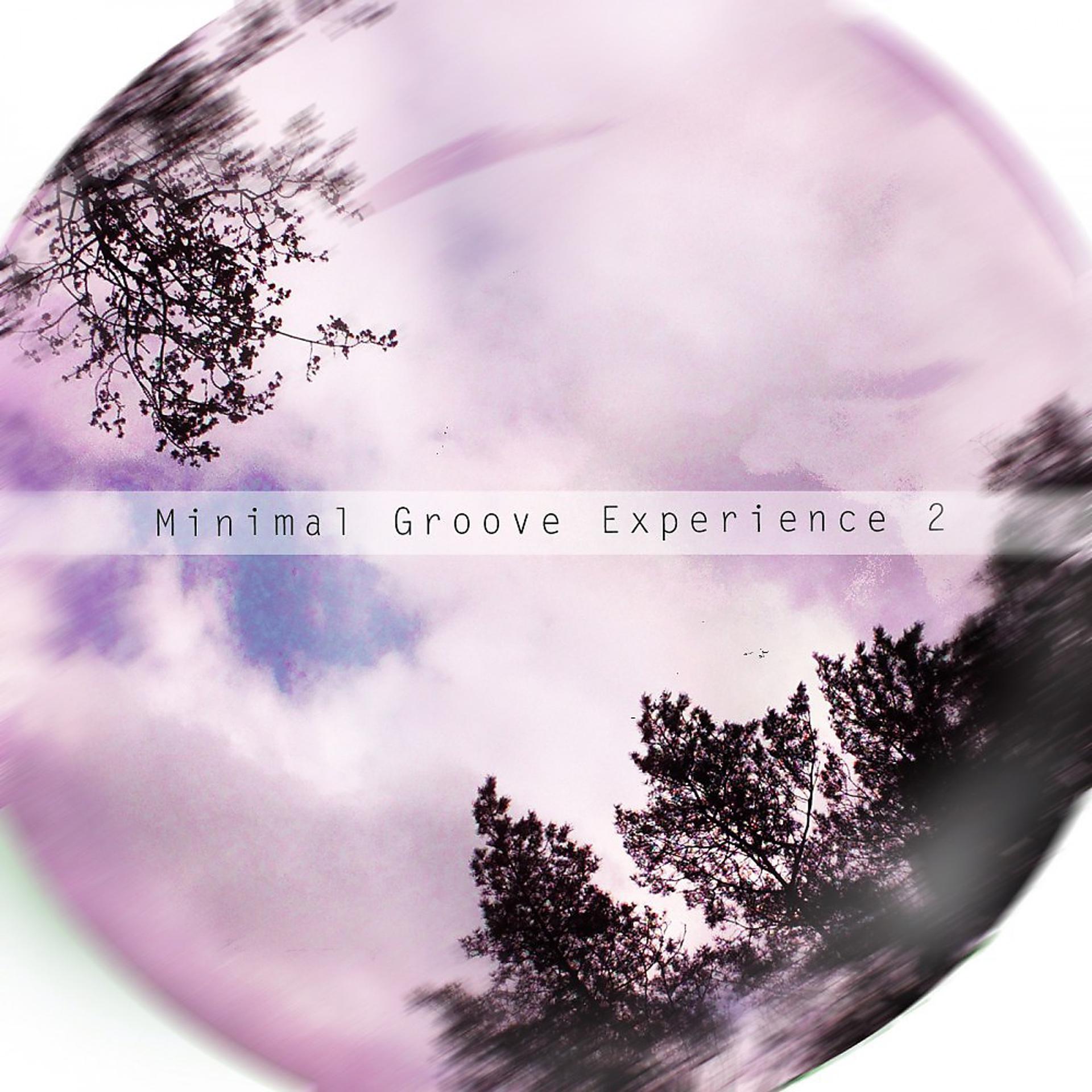 Постер альбома Minimal Groove Experience 2