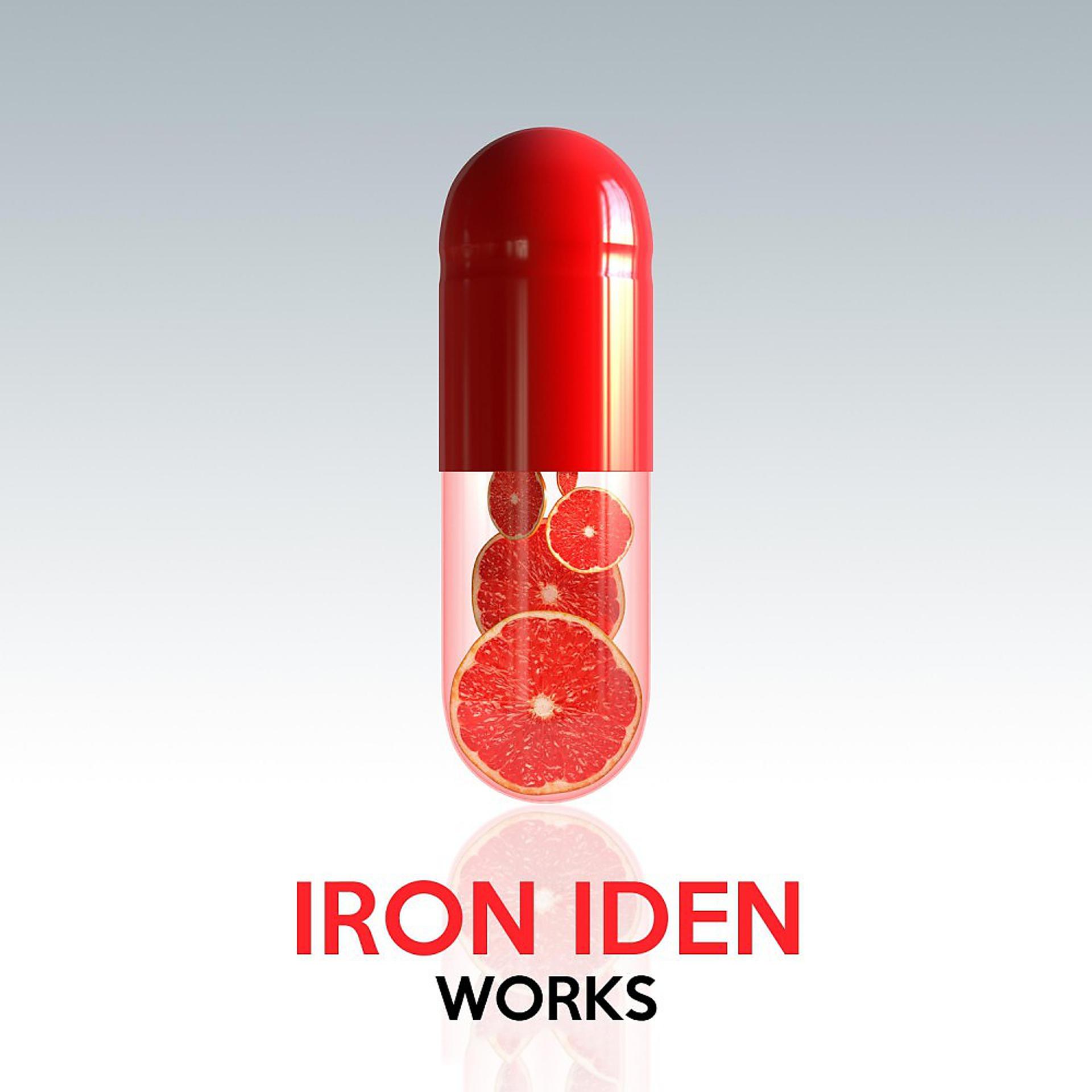 Постер альбома Iron Iden Works