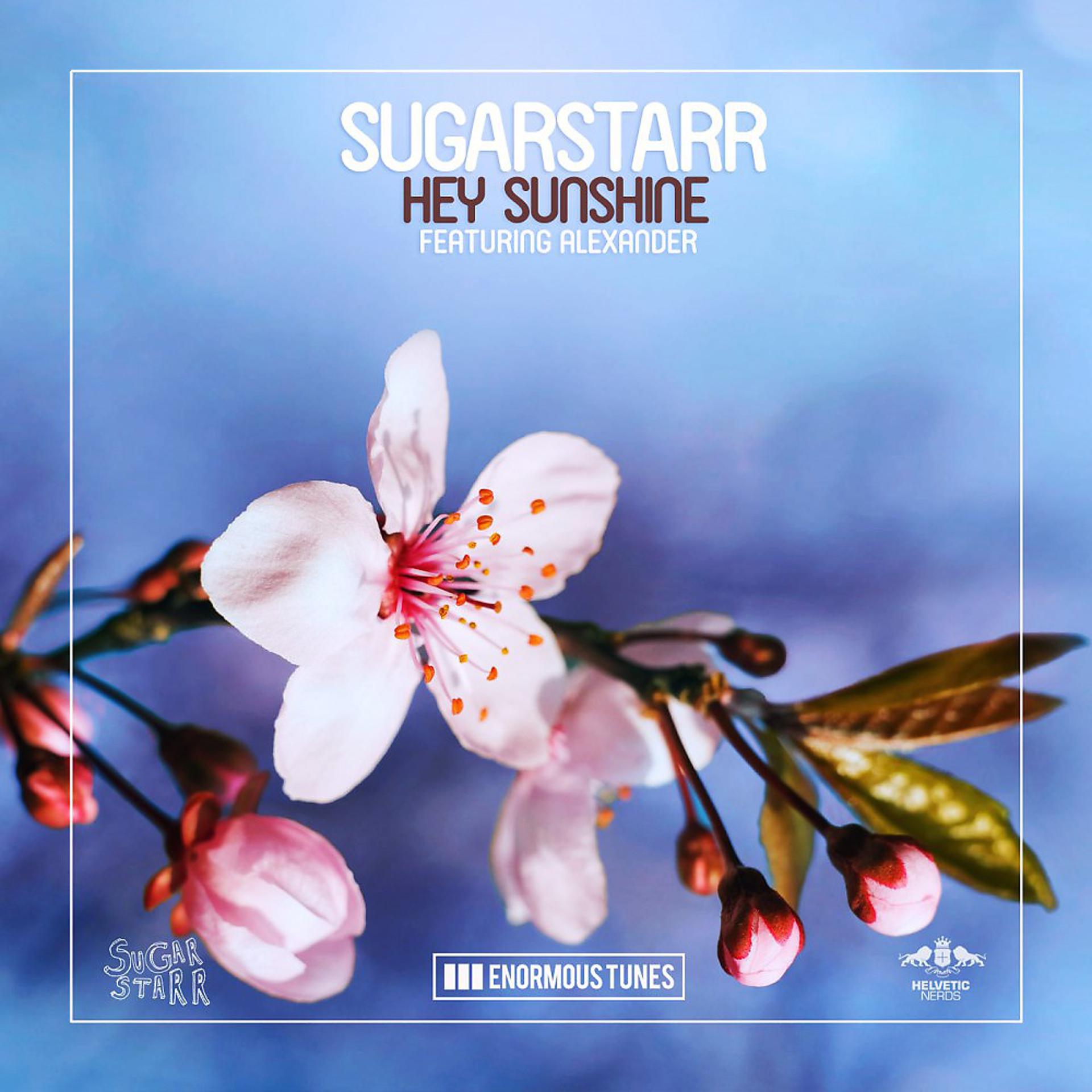 Постер альбома Hey Sunshine