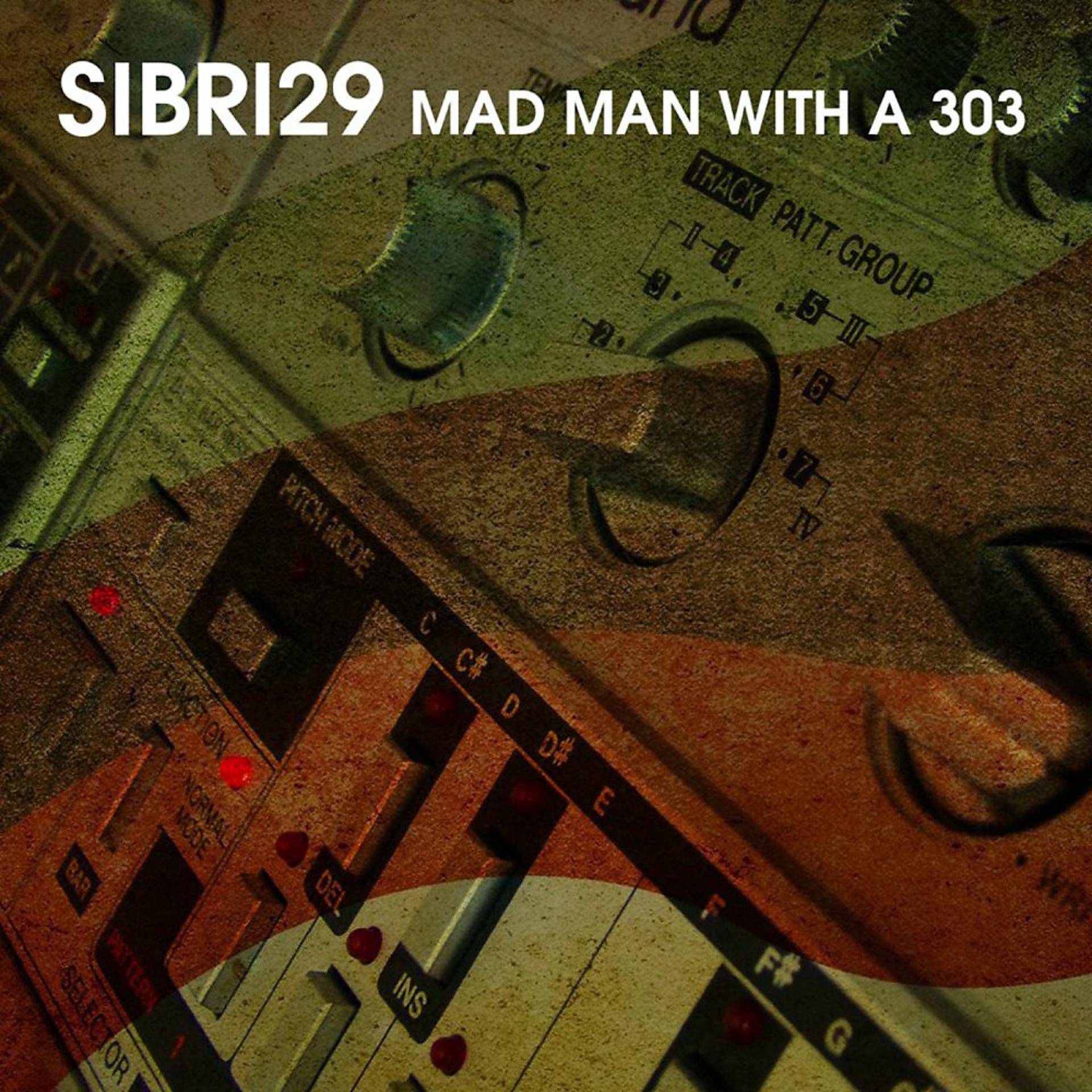 Постер альбома Mad Man with a 303