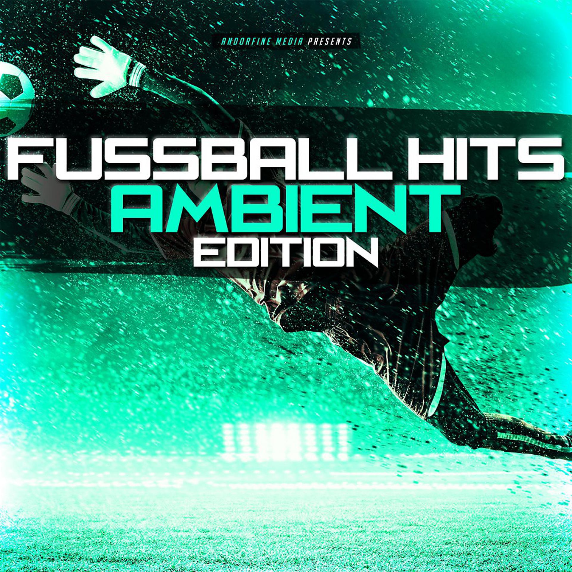 Постер альбома Fussball Hits - Ambient Edition