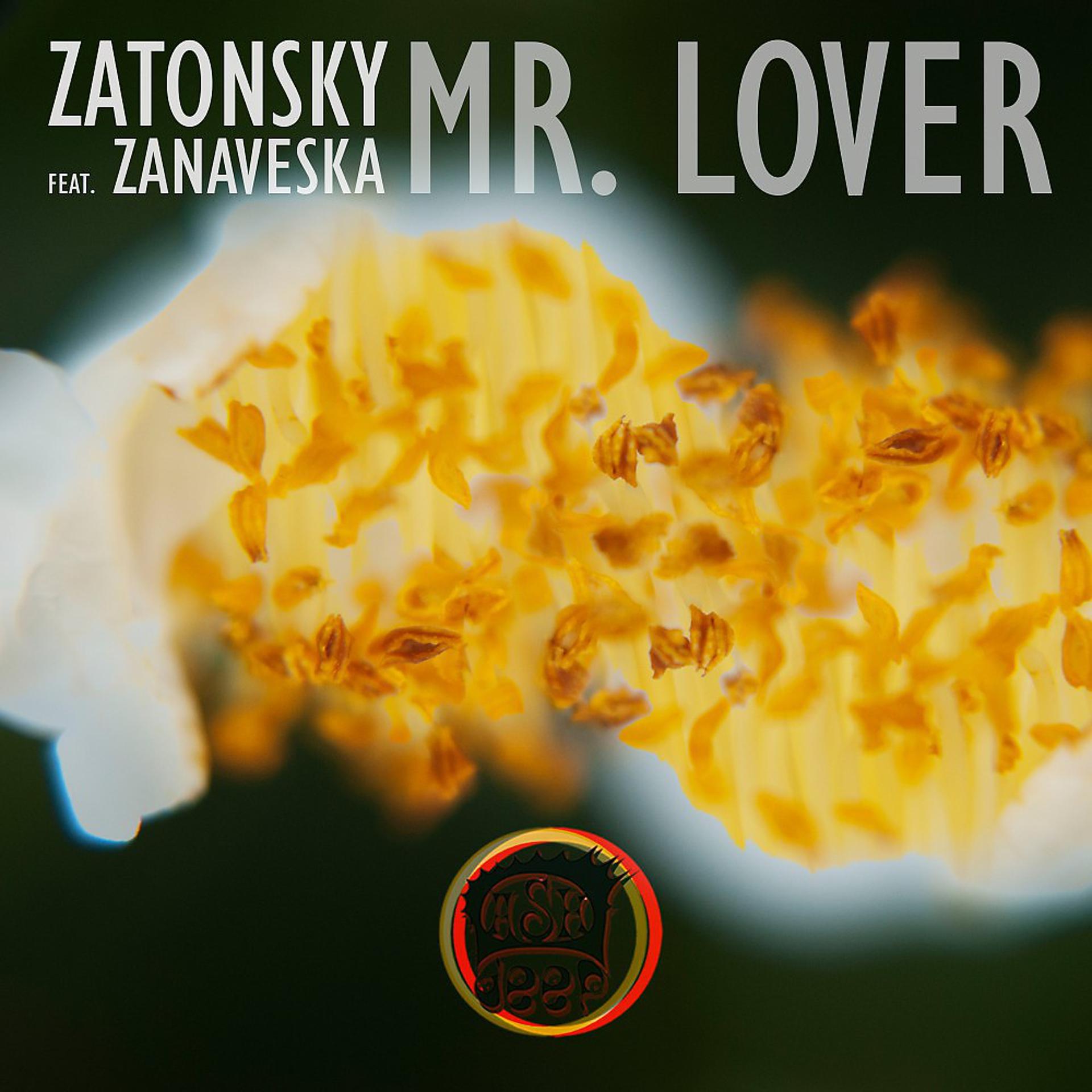 Постер альбома Mr. Lover