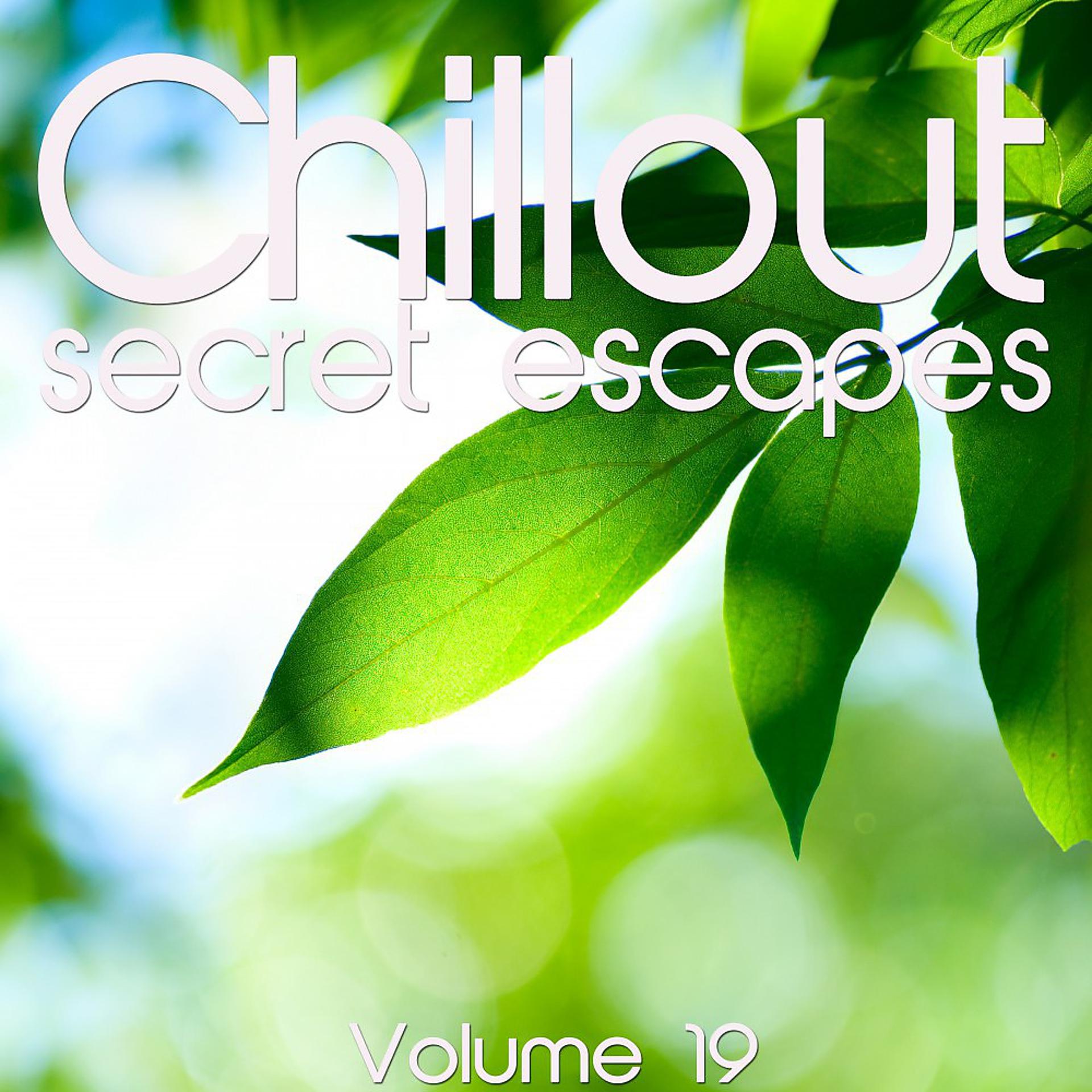 Постер альбома Chillout: Secret Escapes, Vol. 19