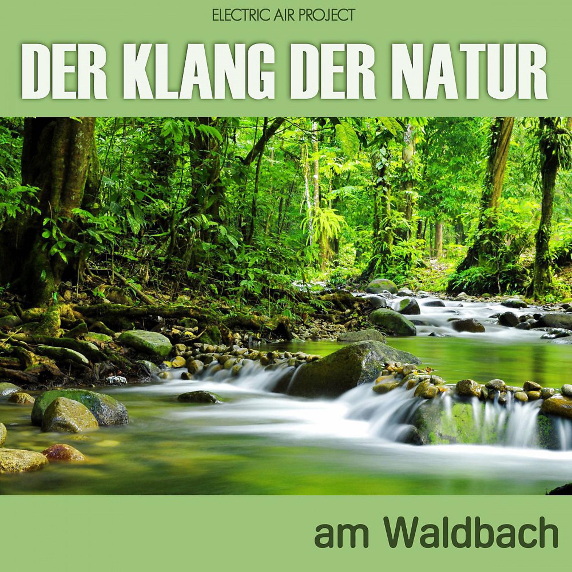 Постер альбома Der Klang der Natur - Am Waldbach