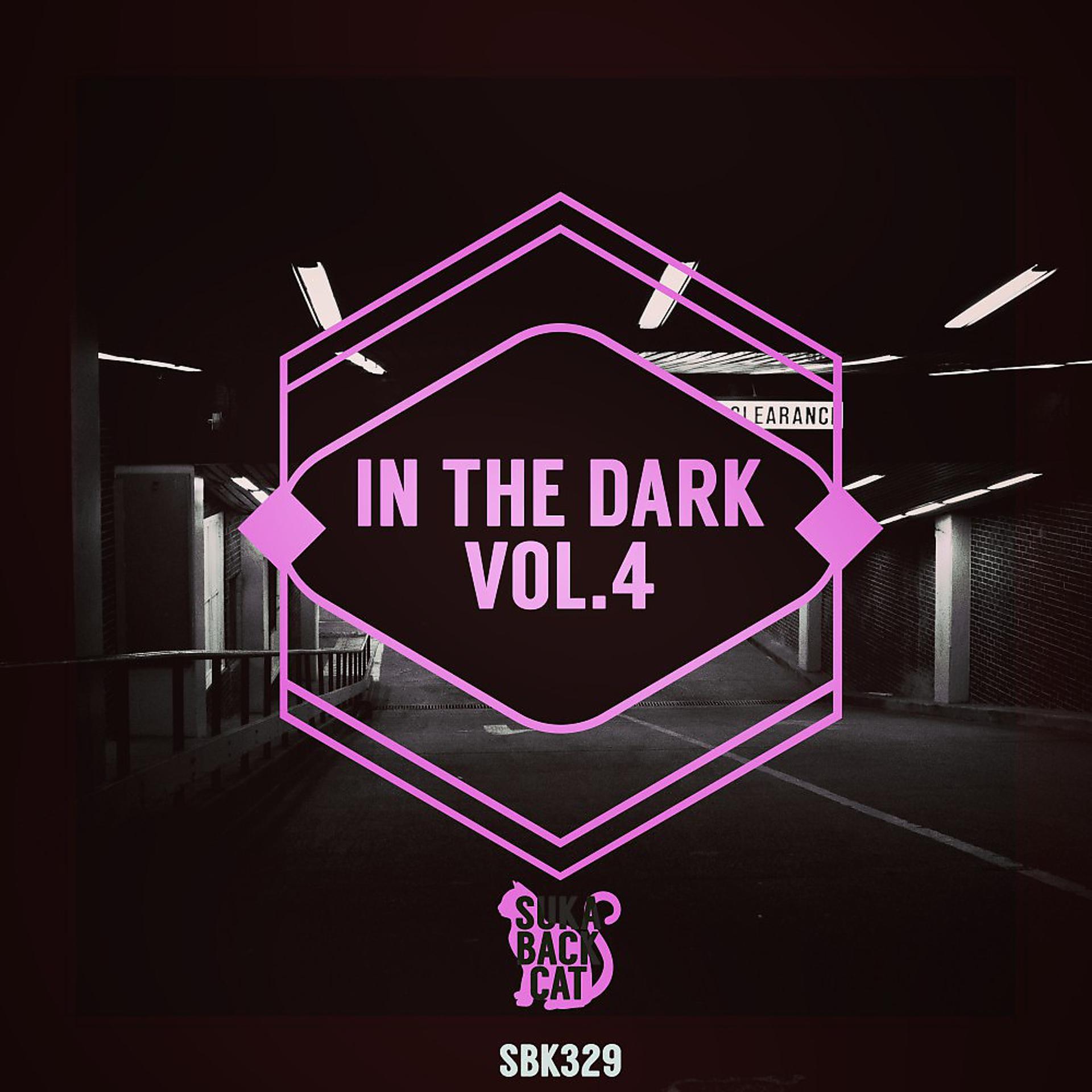Постер альбома In the Dark, Vol. 4