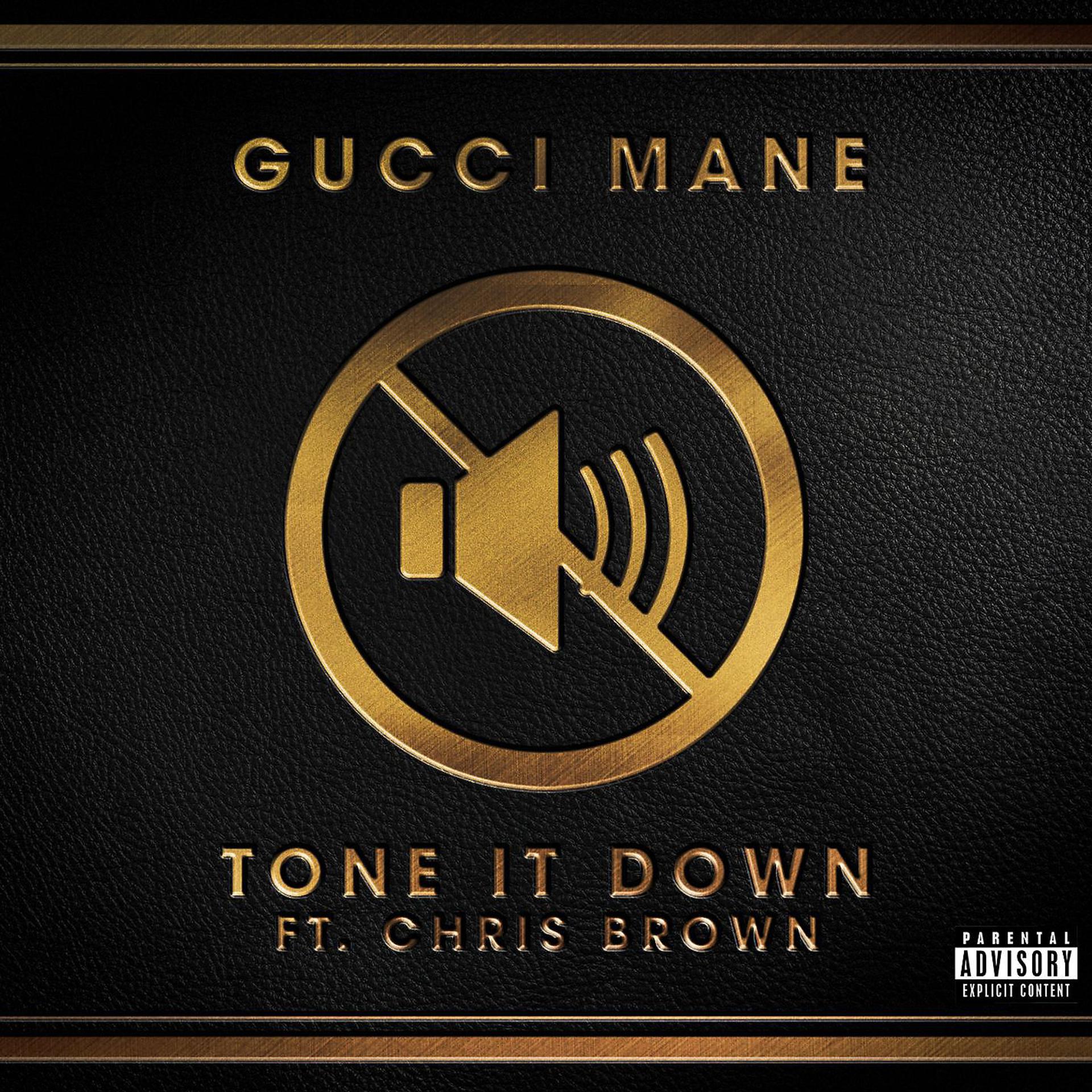 Постер альбома Tone it Down (feat. Chris Brown)