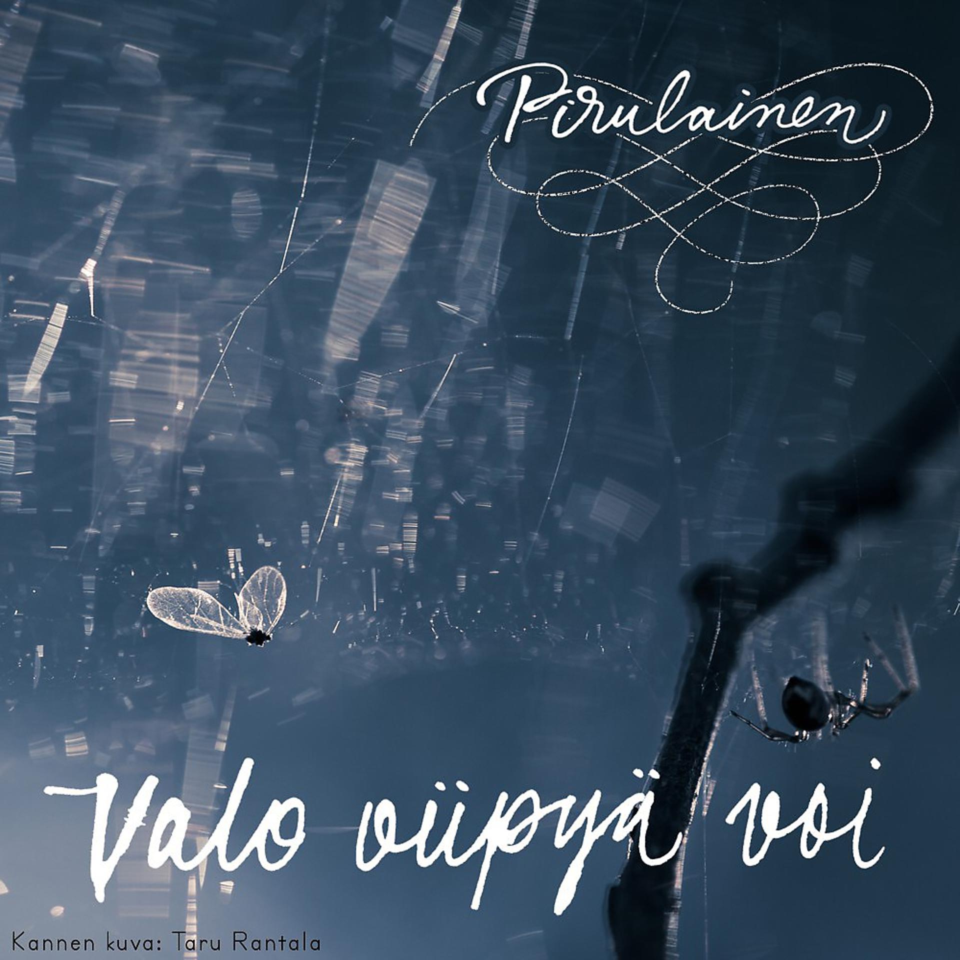 Постер альбома Valo Viipyä Voi
