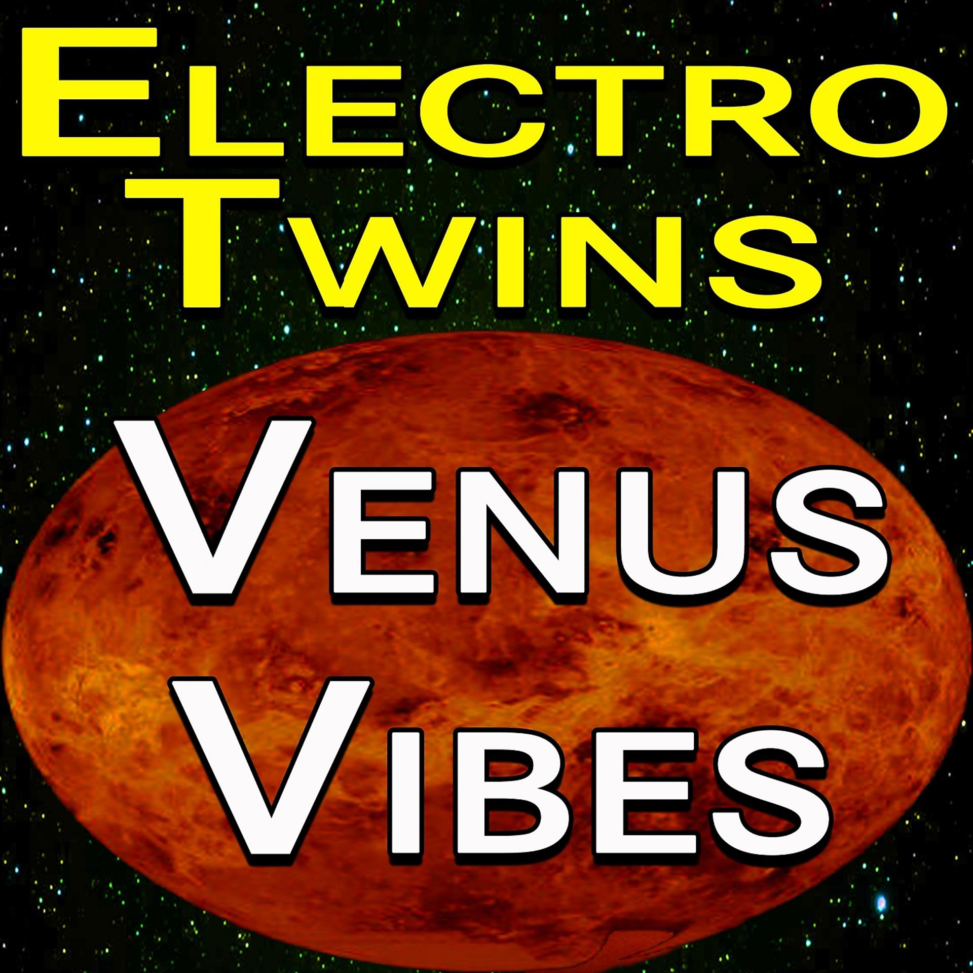 Постер альбома Electro Twins Venus Vibes