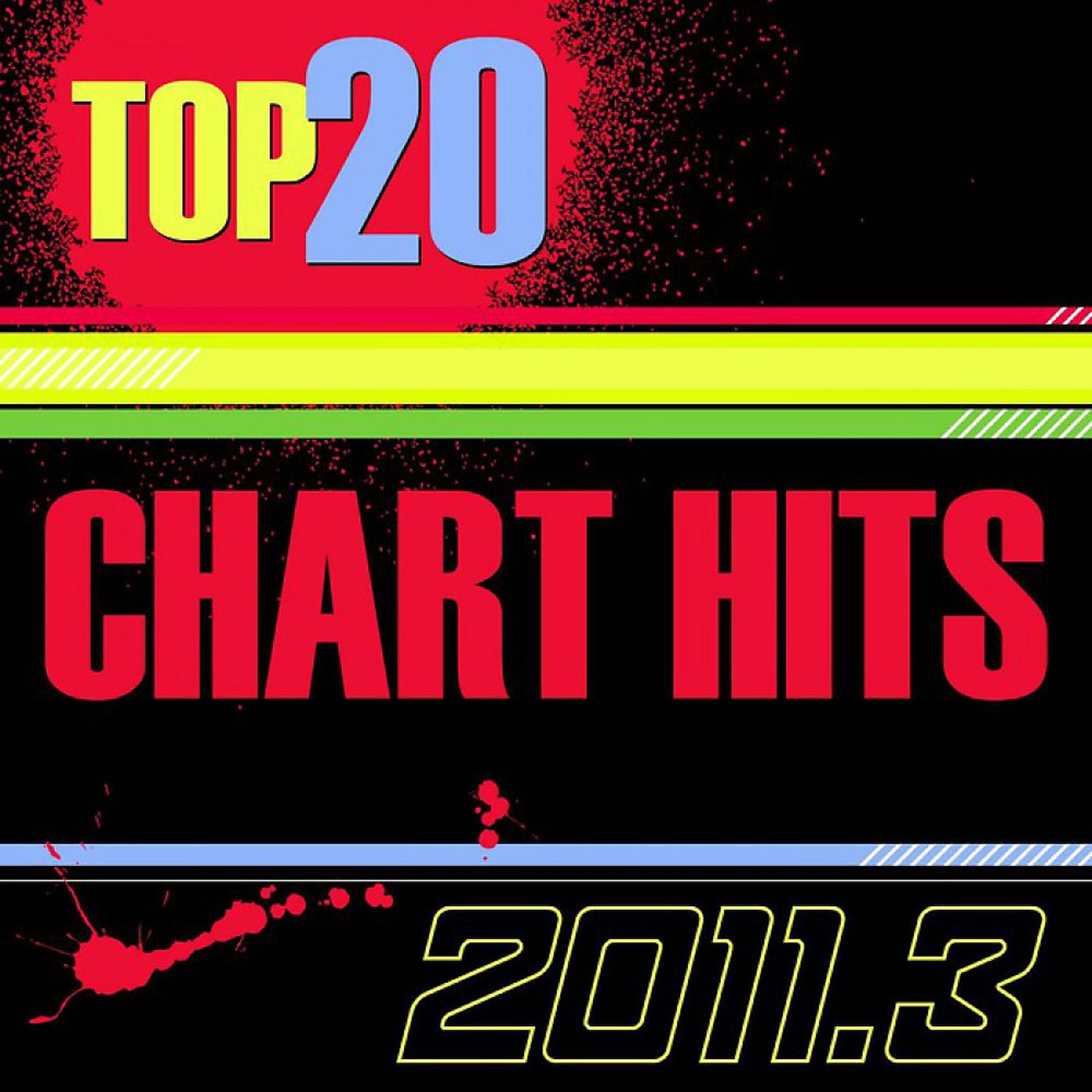 Постер альбома Top 20 Chart Hits USA_2011.2