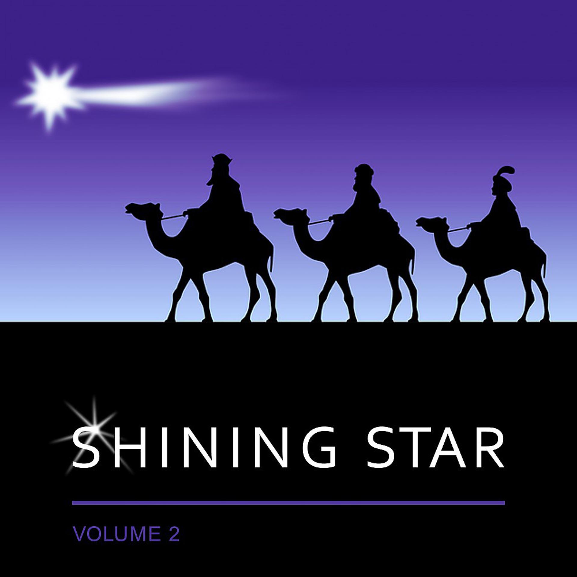Постер альбома Shining Star, Vol. 2