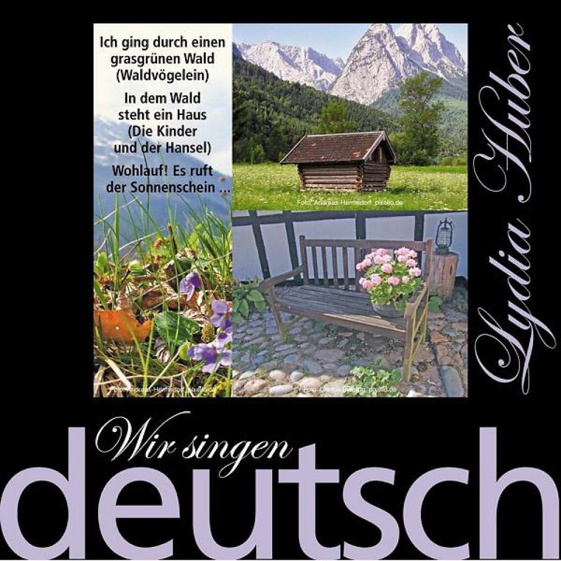 Постер альбома Wir singen deutsch - Ich ging durch einen grasgrünen Wald