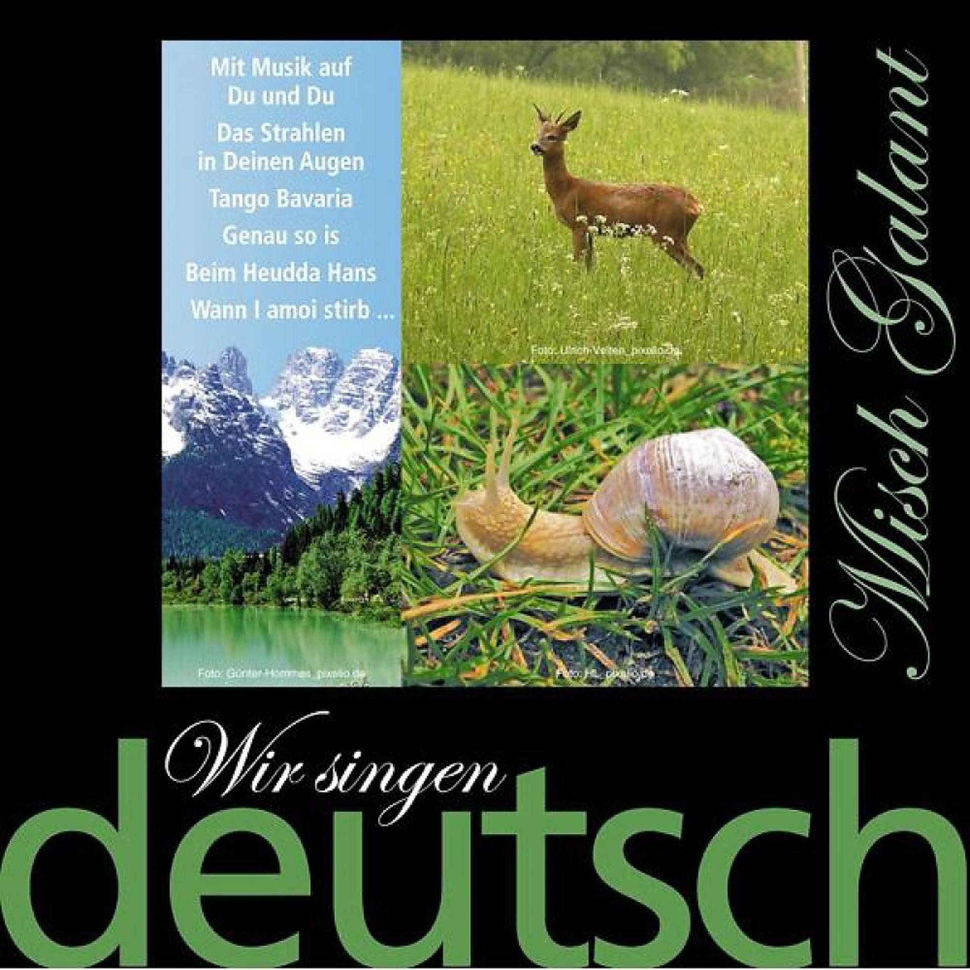 Постер альбома Wir singen deutsch - Mit Musik auf Du und Du