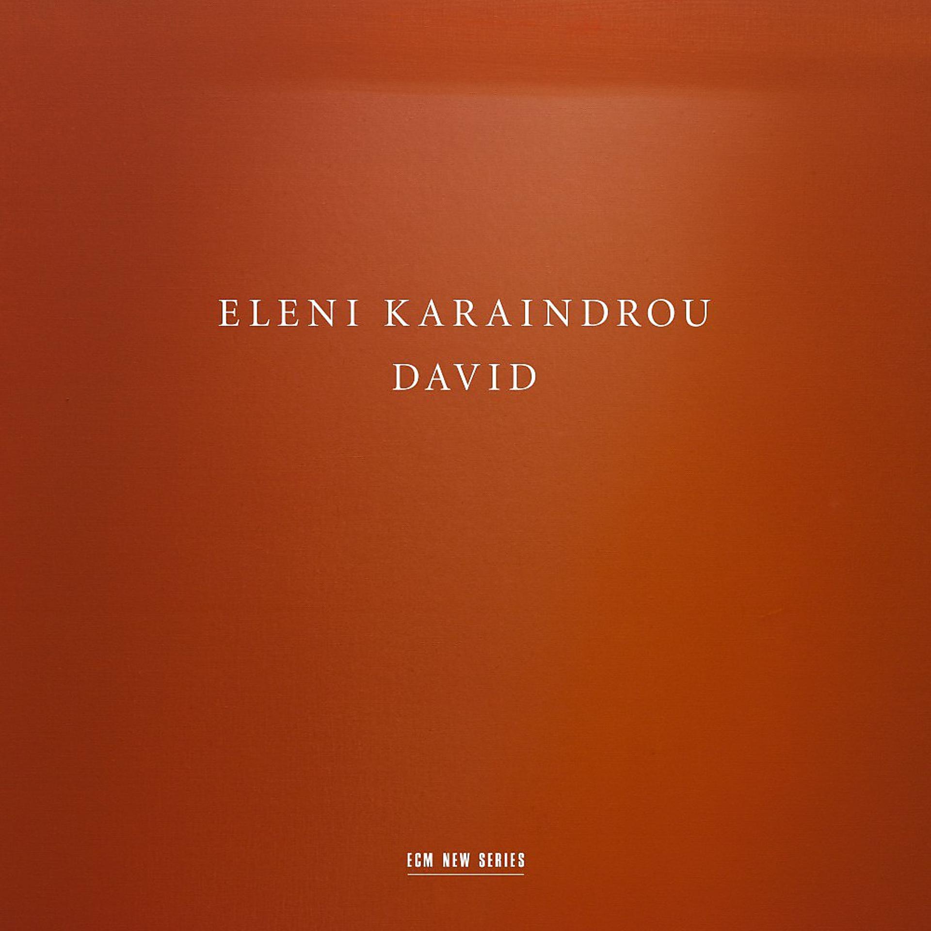Постер альбома Eleni Karaindrou: David